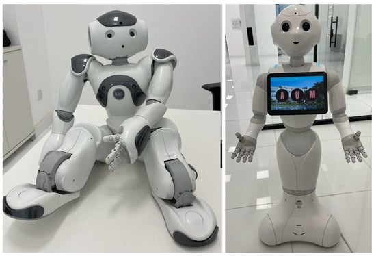 Robotics | Free Full-Text | A Survey on Recent Advances in Social Robotics  | HTML