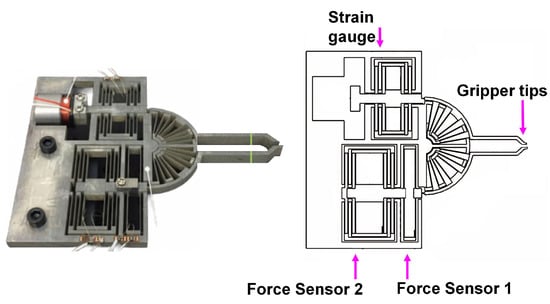 Design of the gripper. (a) Configurations of the gripper. (b) The