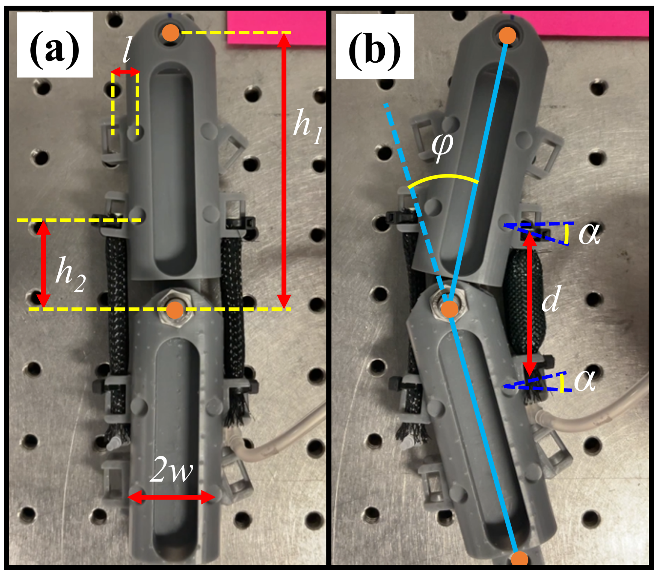 Soft Rod-Climbing Robot Inspired by Winding Locomotion of Snake