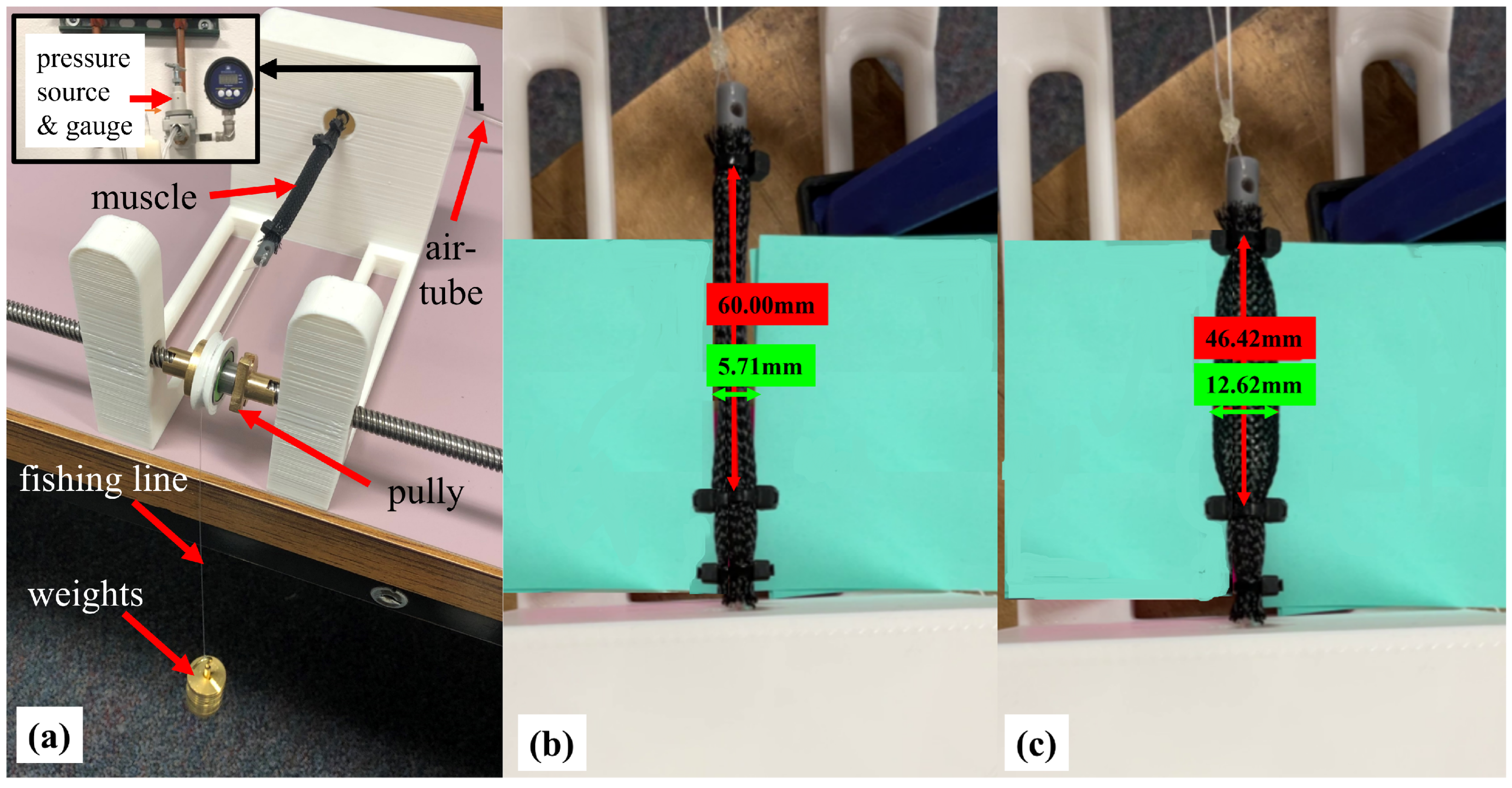 A snake robot for locomotion in a pipe using trapezium-like travelling wave  - ScienceDirect