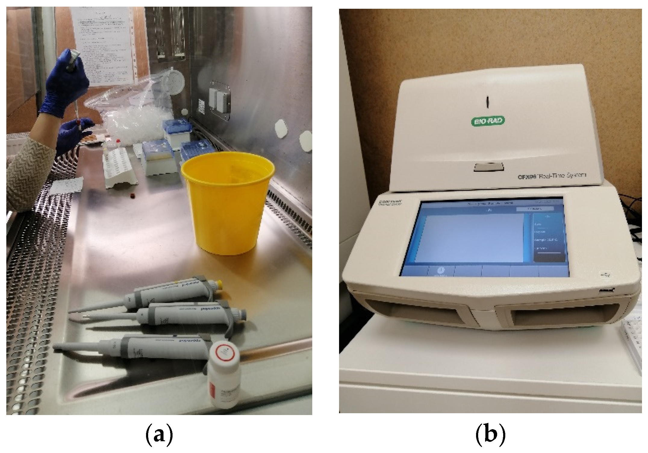 Robotics 14 00002 g001