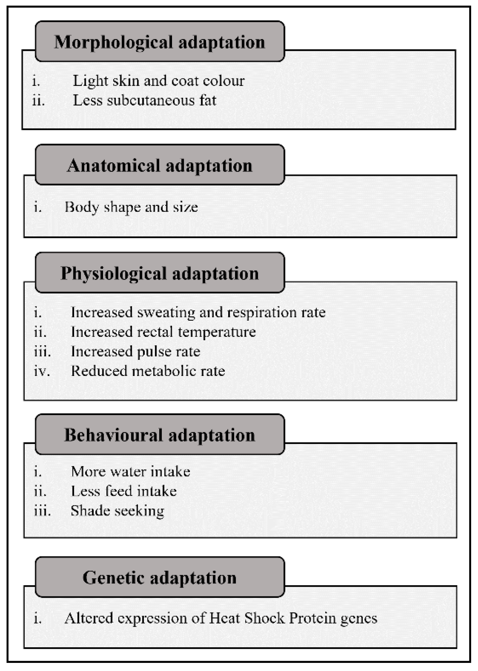 Ruminants, Free Full-Text