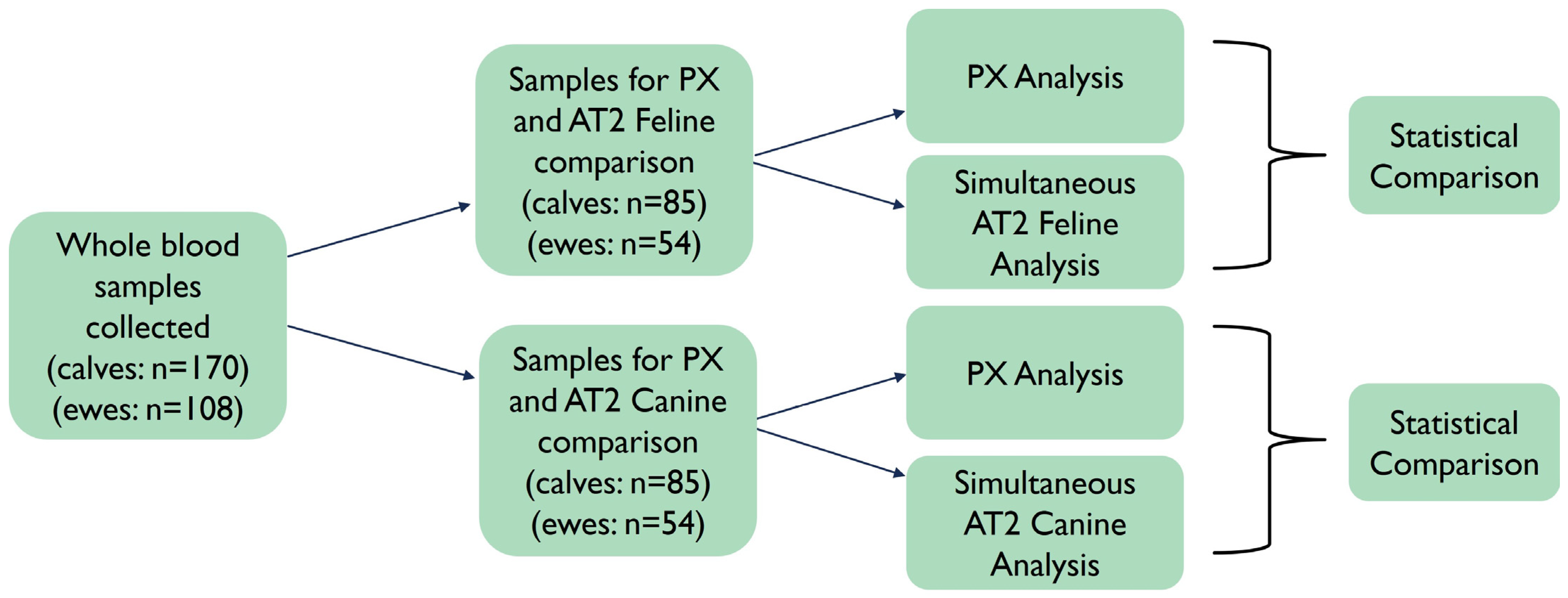 Ruminants 04 00022 g001