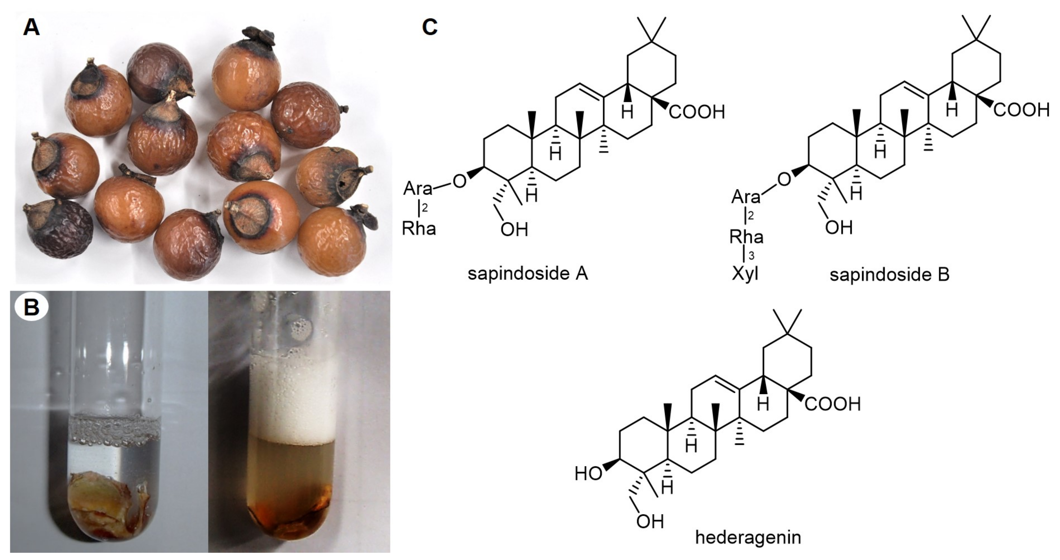Sci | Free Full-Text | Plant-Derived Saponins: A Review of Their Surfactant  Properties and Applications