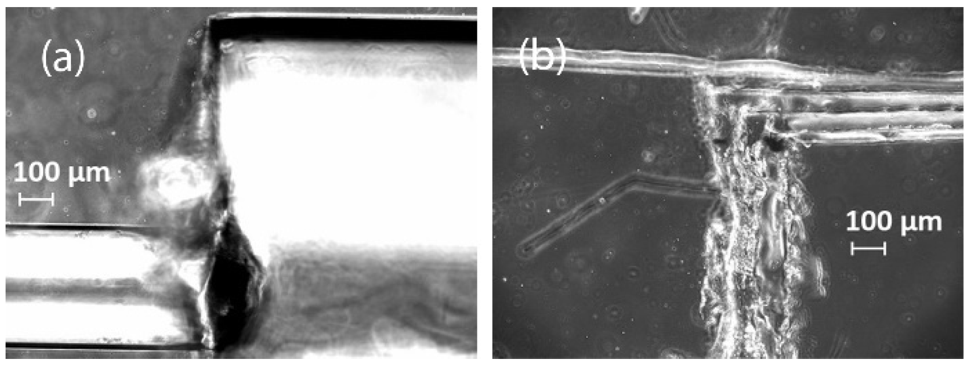 Sci 04 00036 g007 Sci 04 00036 g007