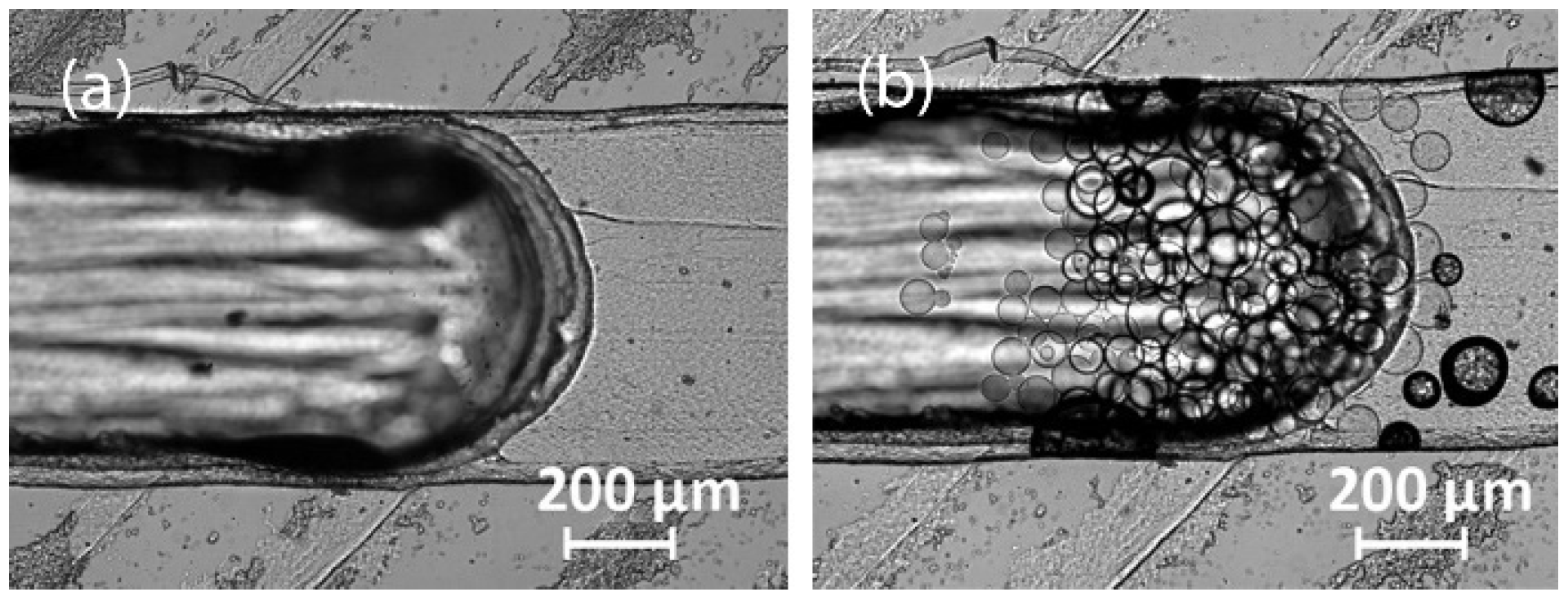 Sci 04 00036 g010 Sci 04 00036 g010