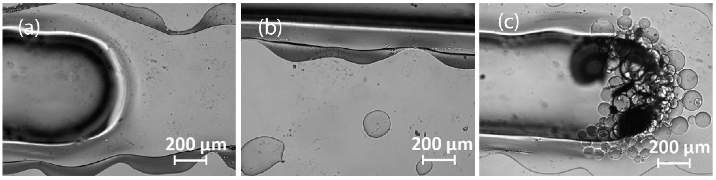 Sci 04 00036 g011 Sci 04 00036 g011