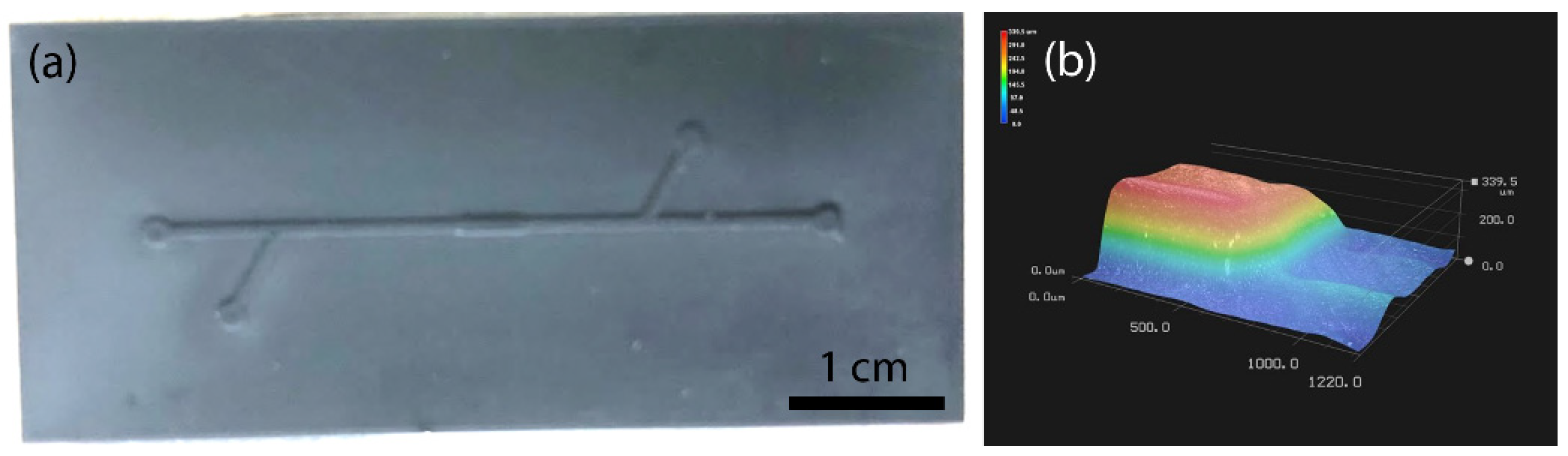 Sci 04 00036 g012 Sci 04 00036 g012