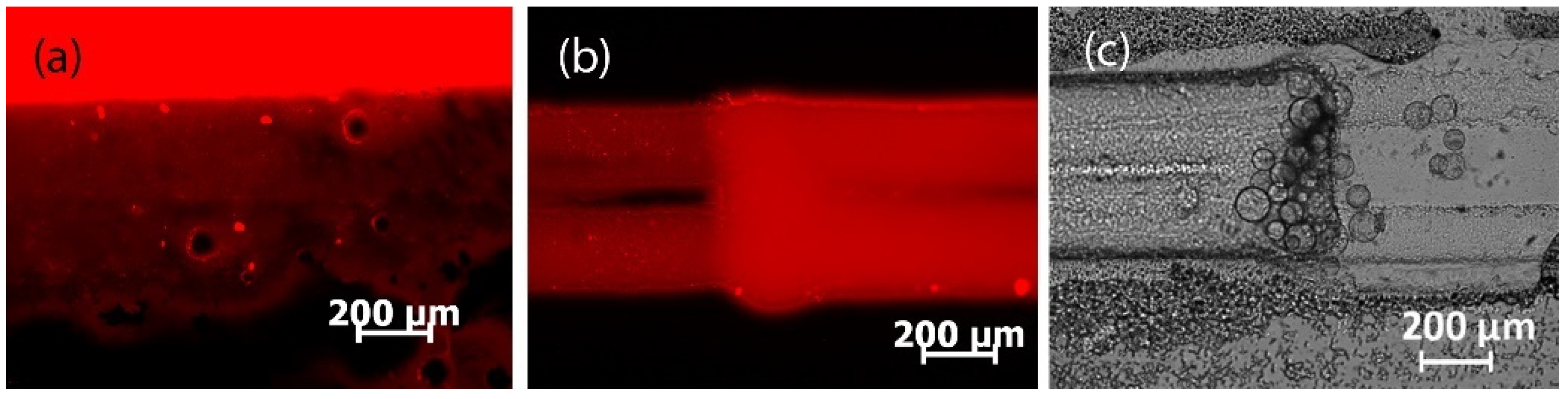 Sci 04 00036 g013 Sci 04 00036 g013