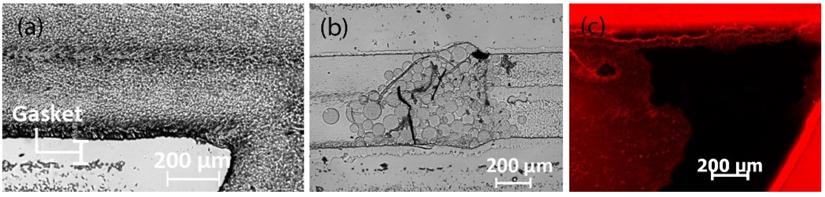 Sci 04 00036 g015 Sci 04 00036 g015