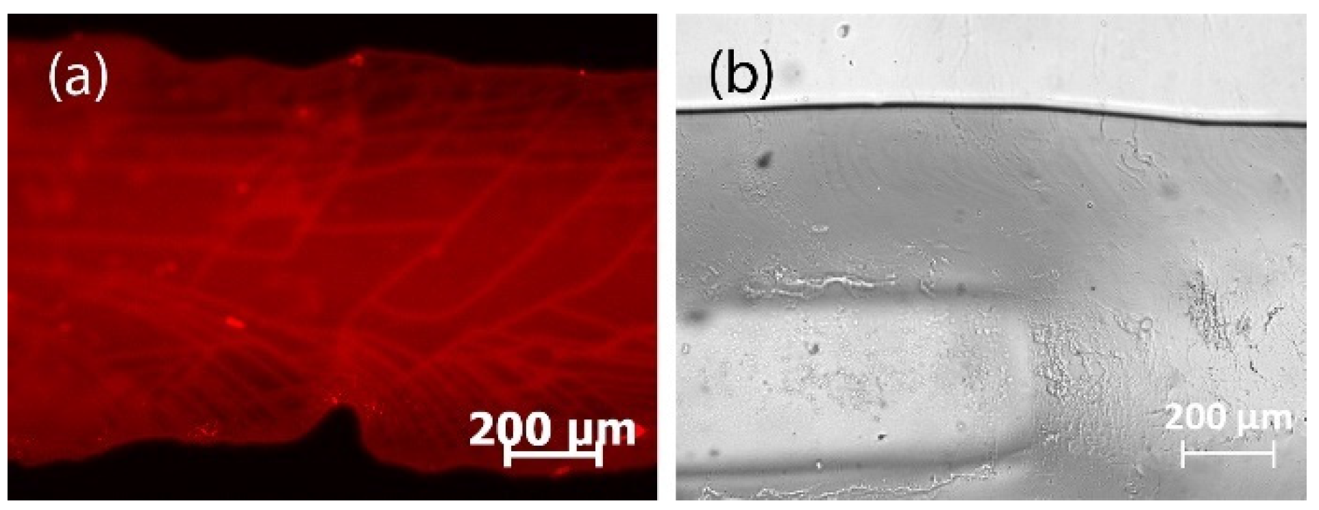 Sci 04 00036 g017 Sci 04 00036 g017