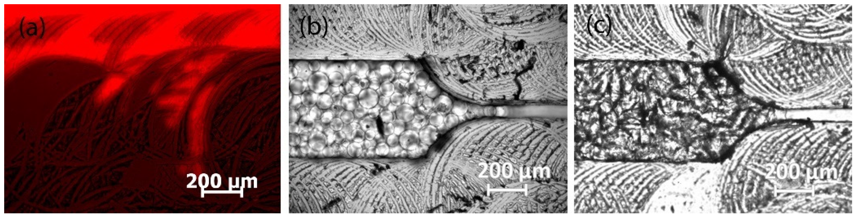 Sci 04 00036 g019 Sci 04 00036 g019