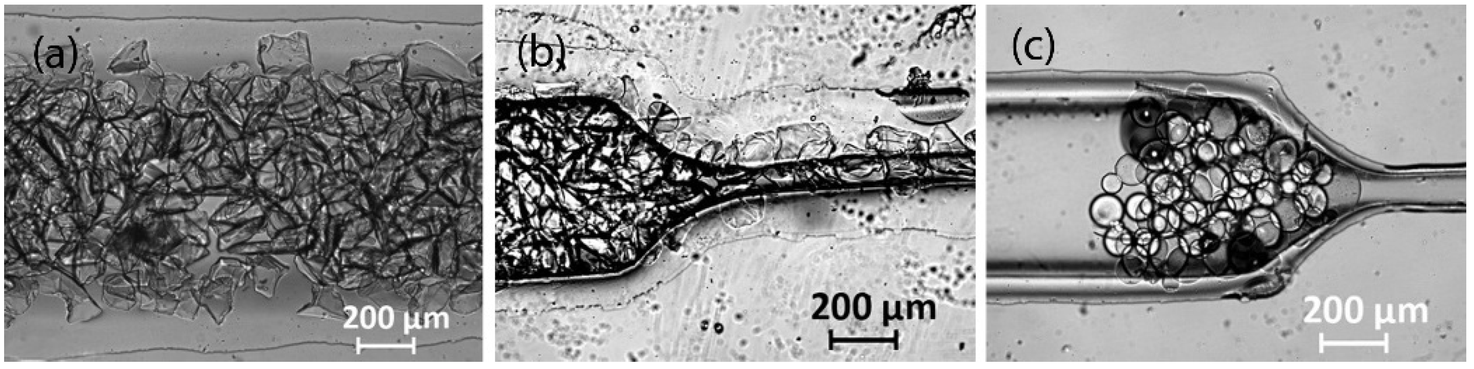 Sci 04 00036 g020 Sci 04 00036 g020