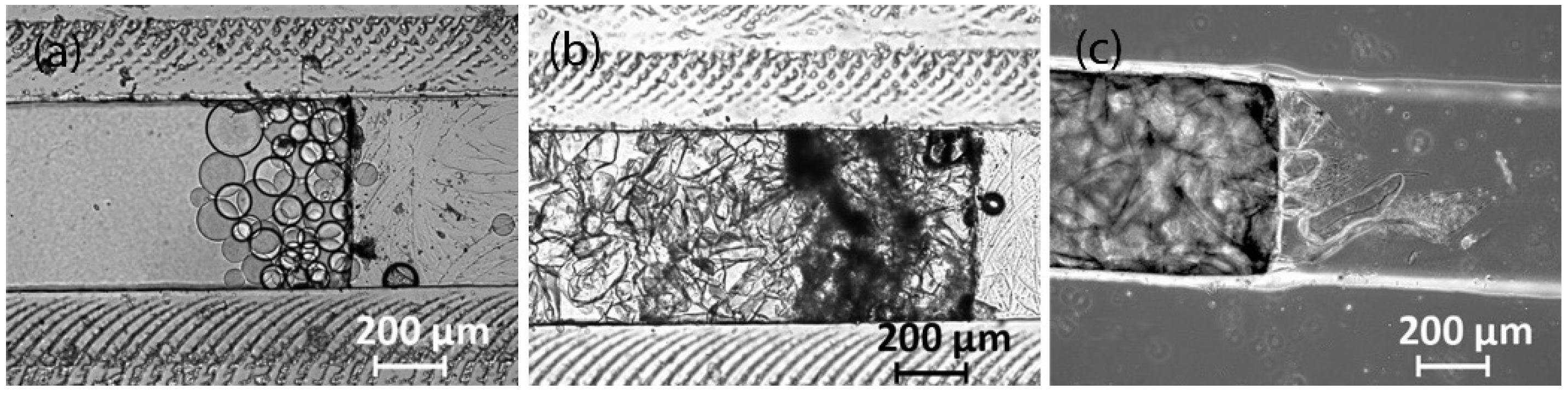 Sci 04 00036 g021 Sci 04 00036 g021