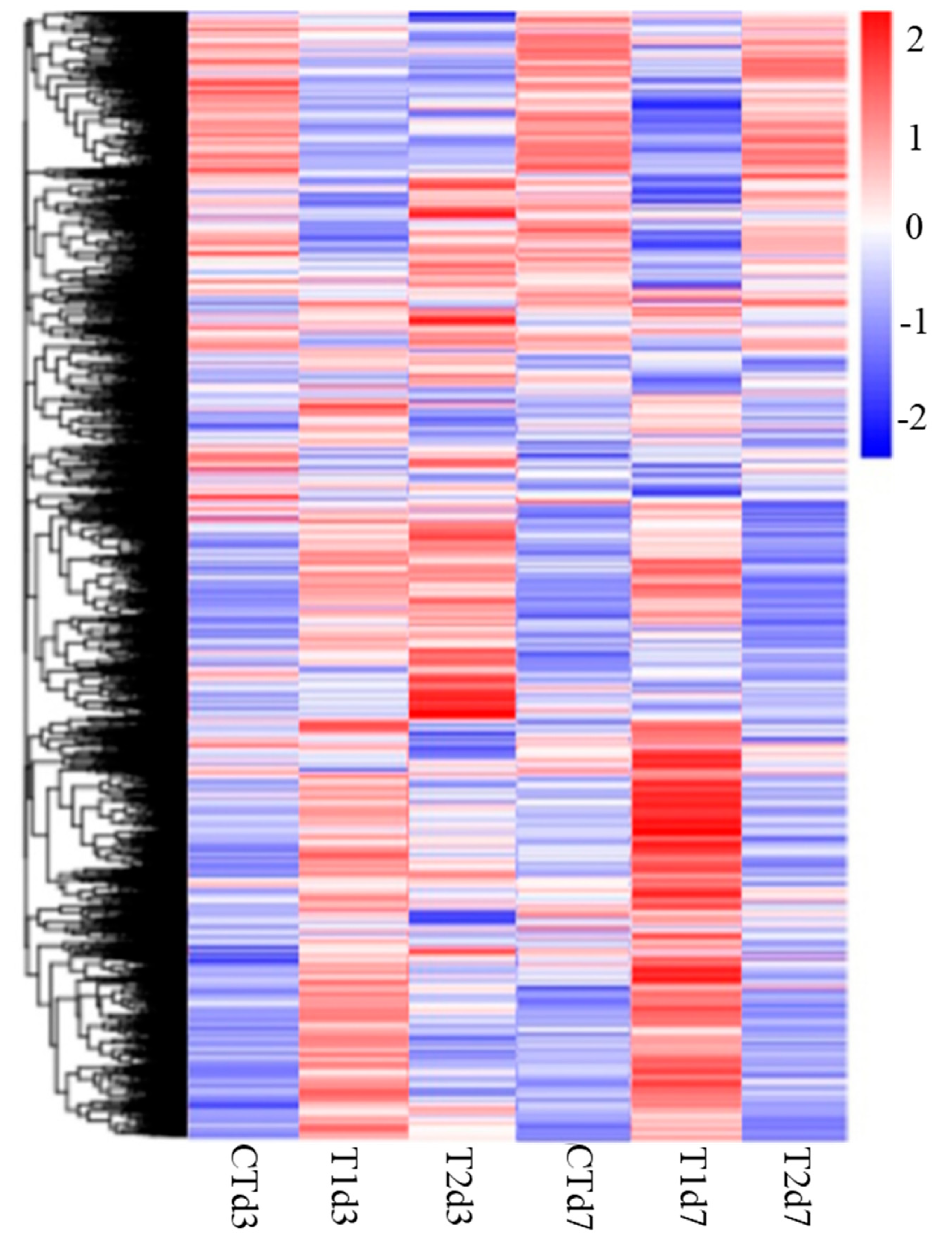 Sci 05 00026 g003 Sci 05 00026 g003