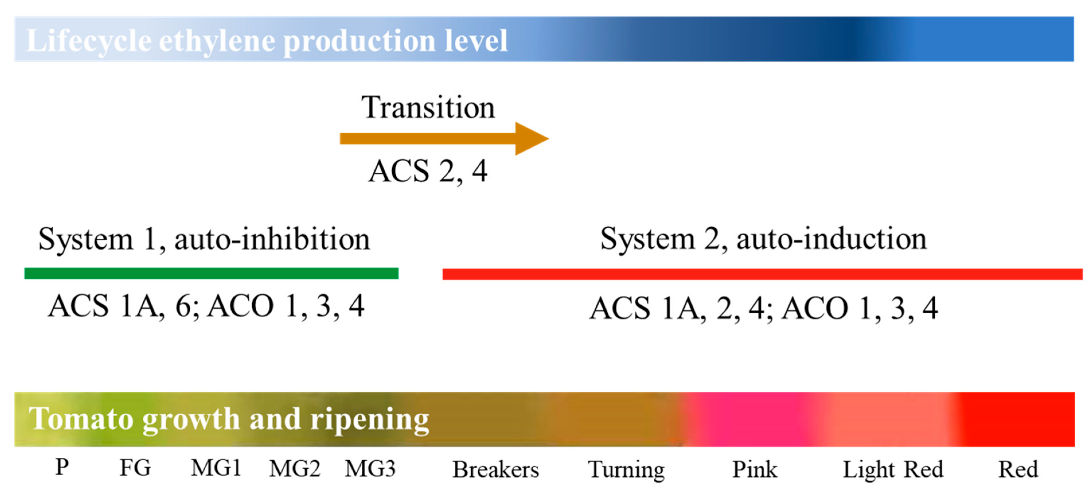 Sci 05 00026 g008 Sci 05 00026 g008