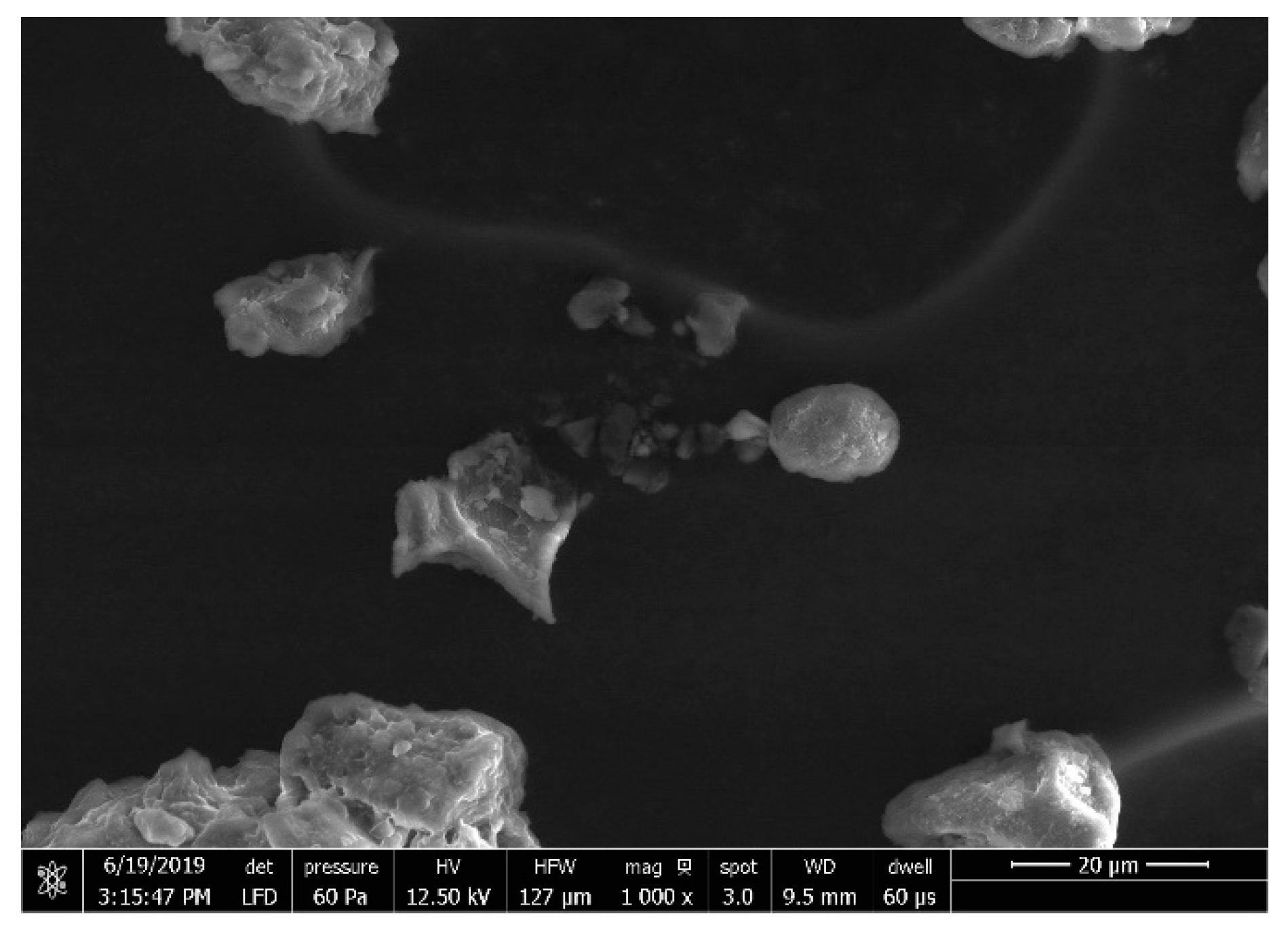 Scipharm 87 00032 g002 Scipharm 87 00032 g002