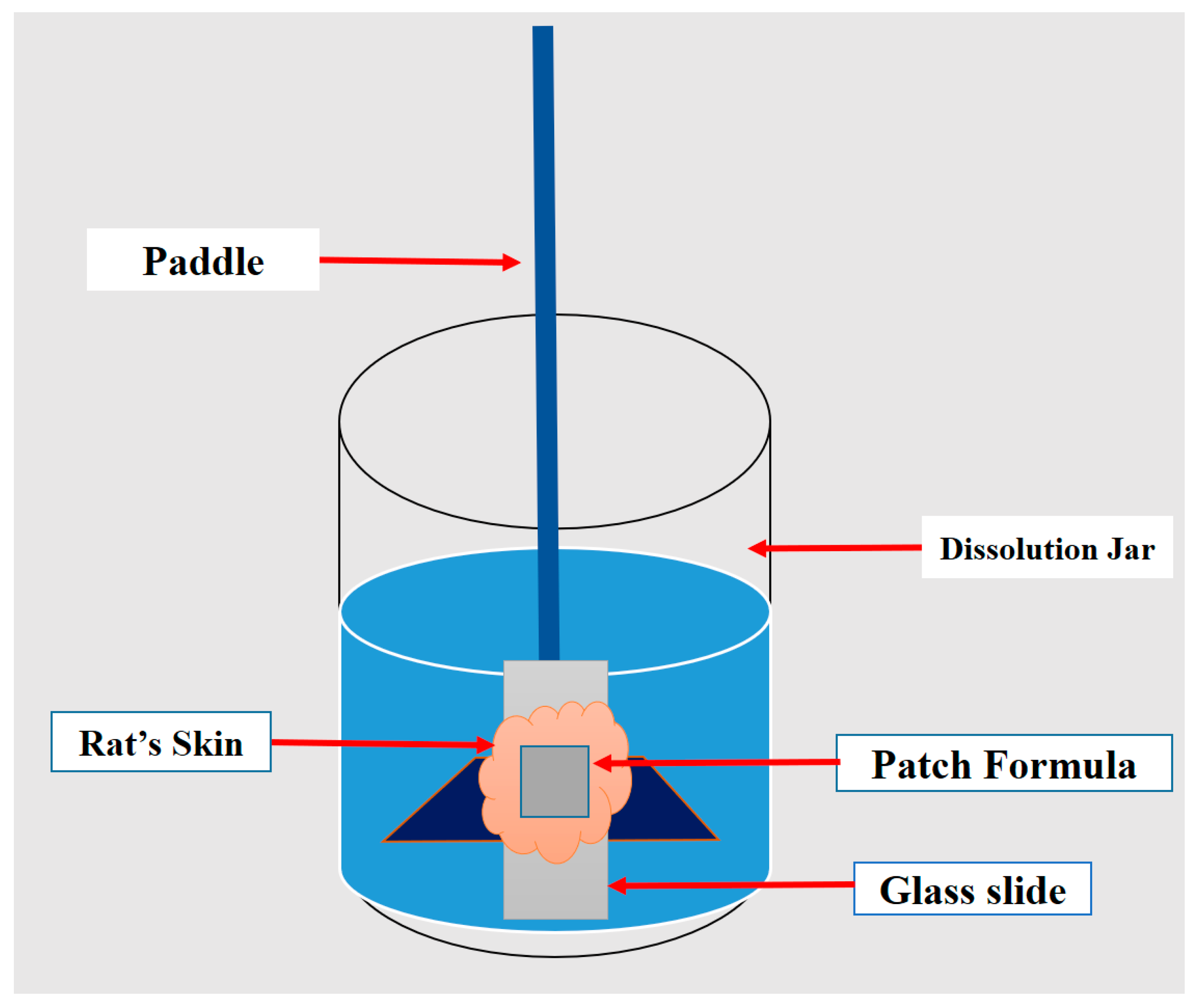Scipharm 89 00033 g002