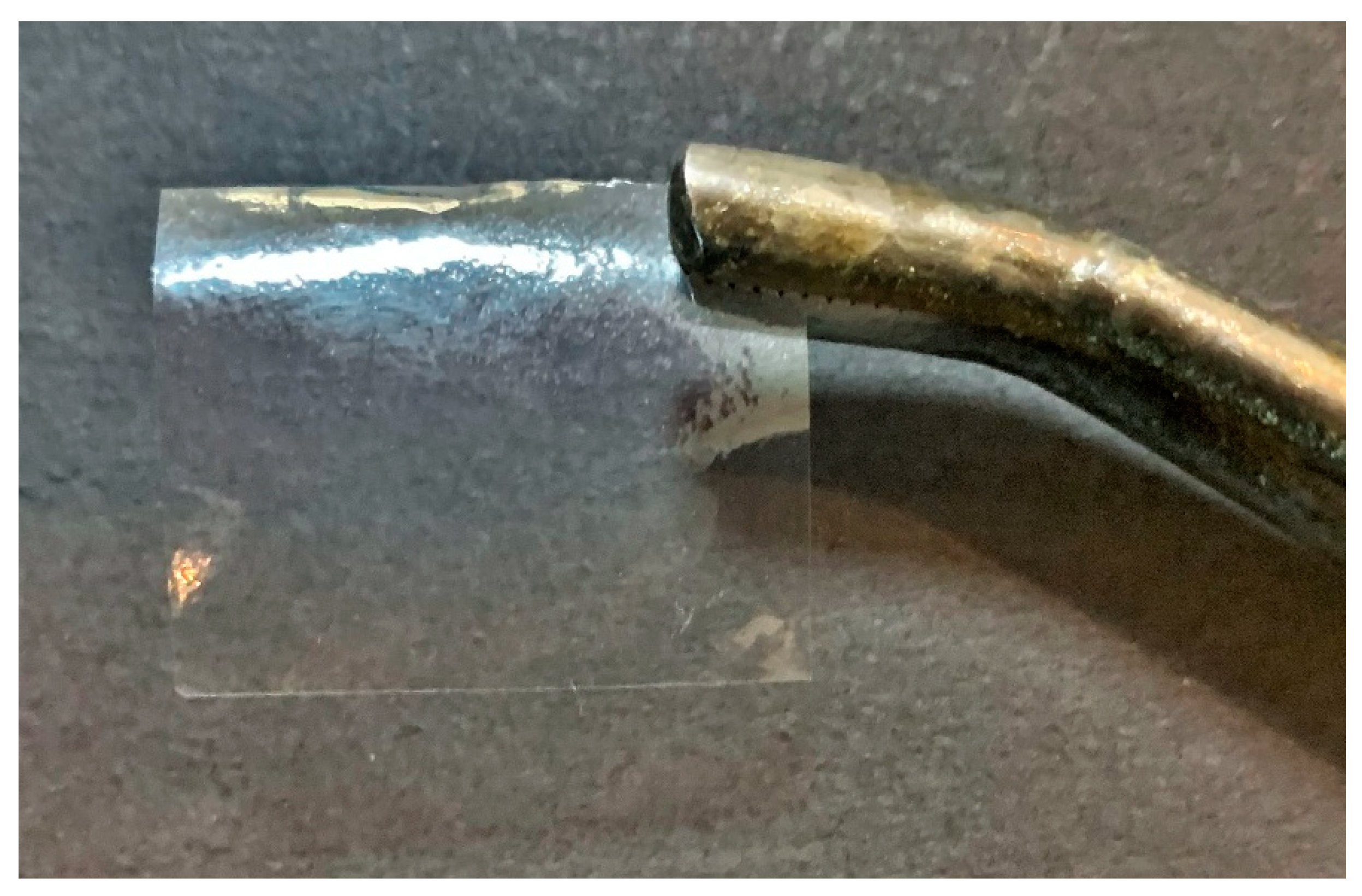 Scipharm 89 00033 g003