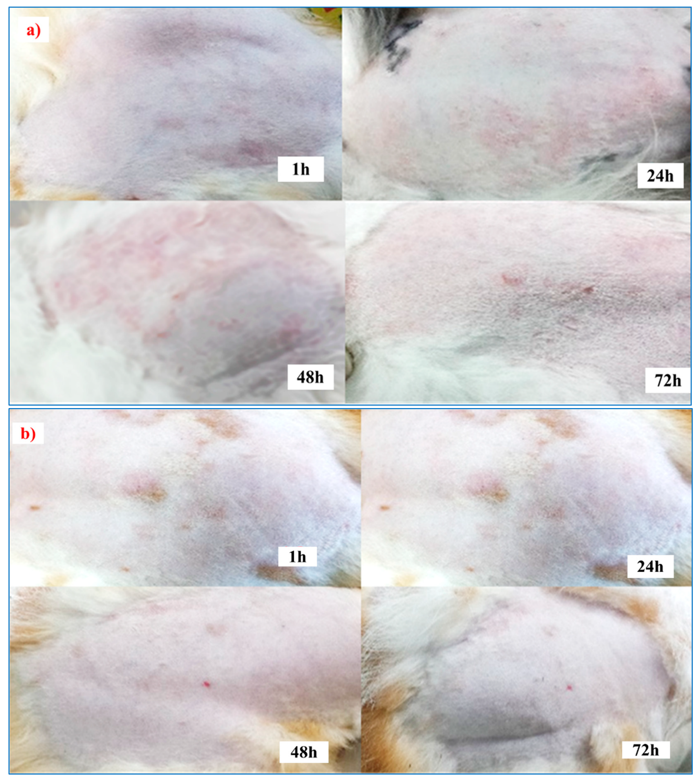 Scipharm 89 00033 g010