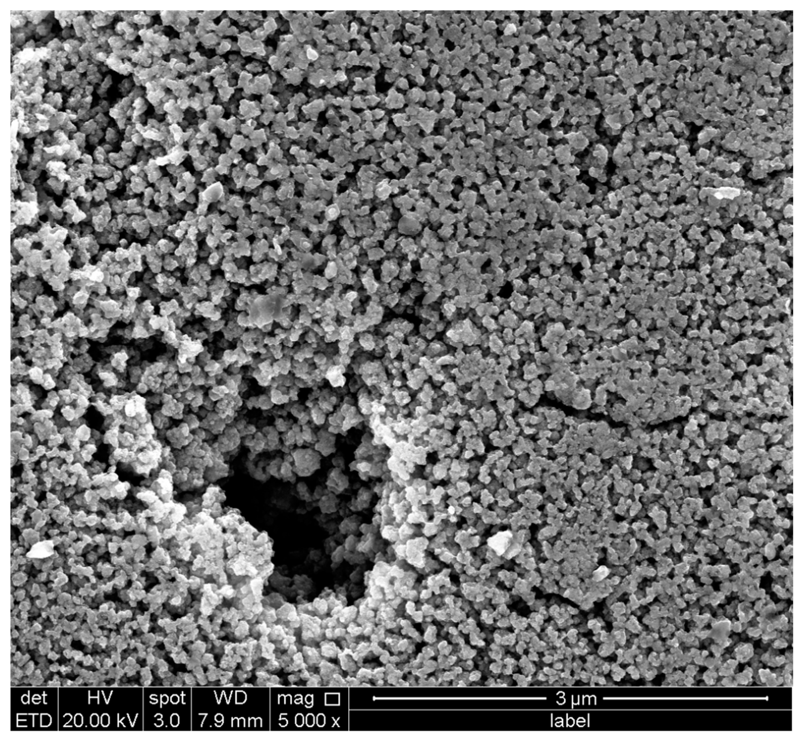 Scipharm 90 00060 g005 Scipharm 90 00060 g005