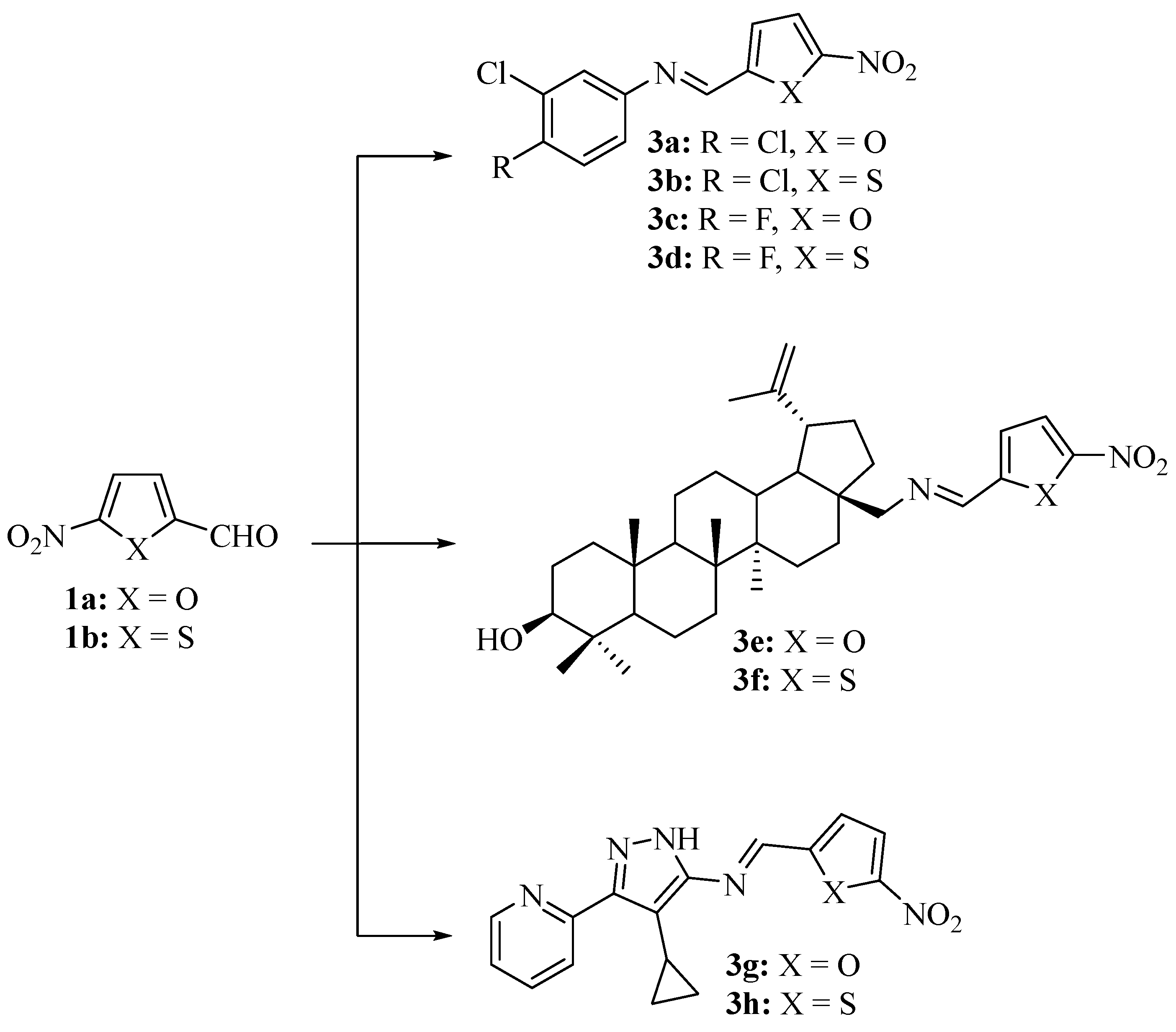 Scipharm 91 00044 sch002