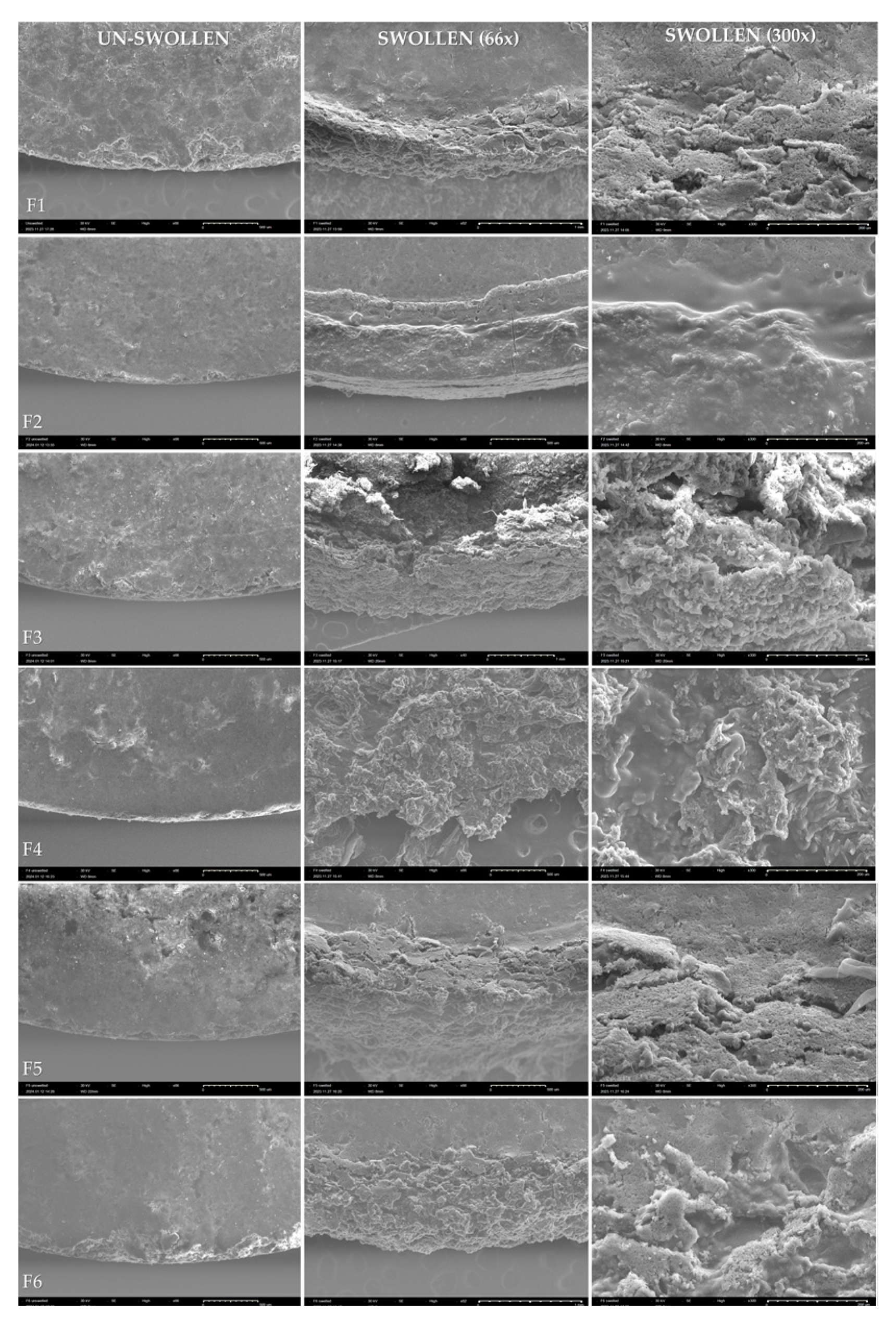 Scipharm 92 00010 g005