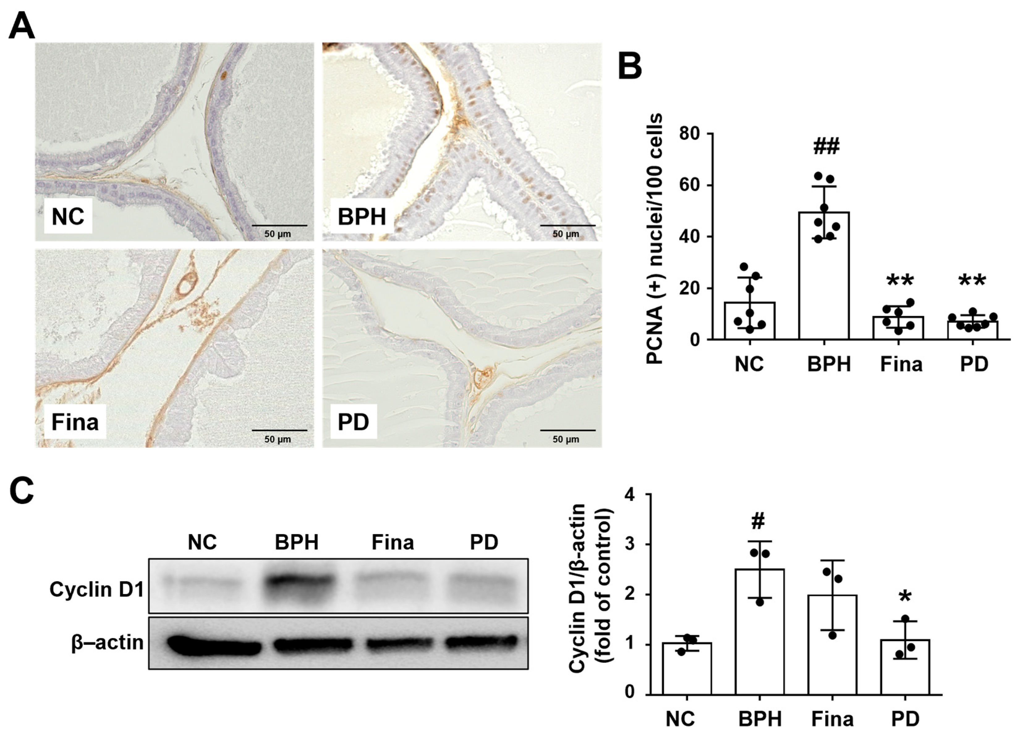 Scipharm 92 00013 g004 Scipharm 92 00013 g004