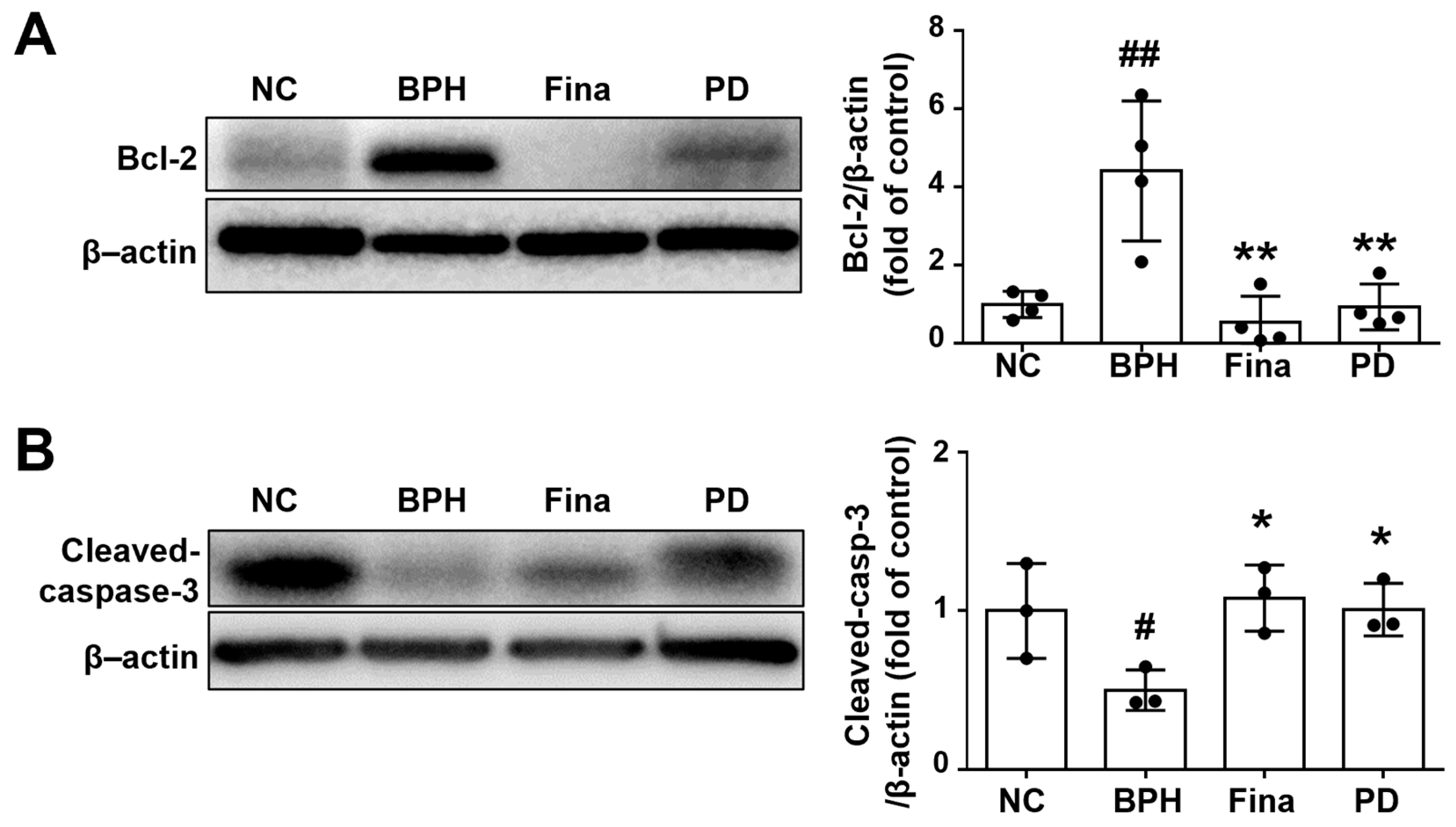 Scipharm 92 00013 g005 Scipharm 92 00013 g005