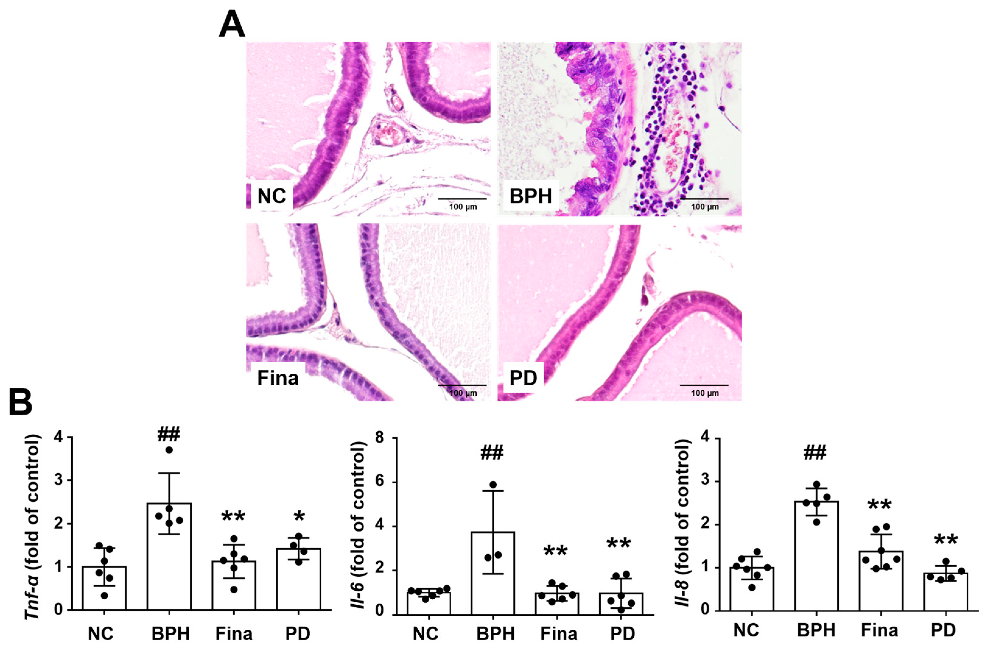 Scipharm 92 00013 g007 Scipharm 92 00013 g007