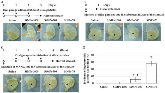 Sci. Pharm. | Free Full-Text | Nanosized Particles of Synthetic Silicon ...