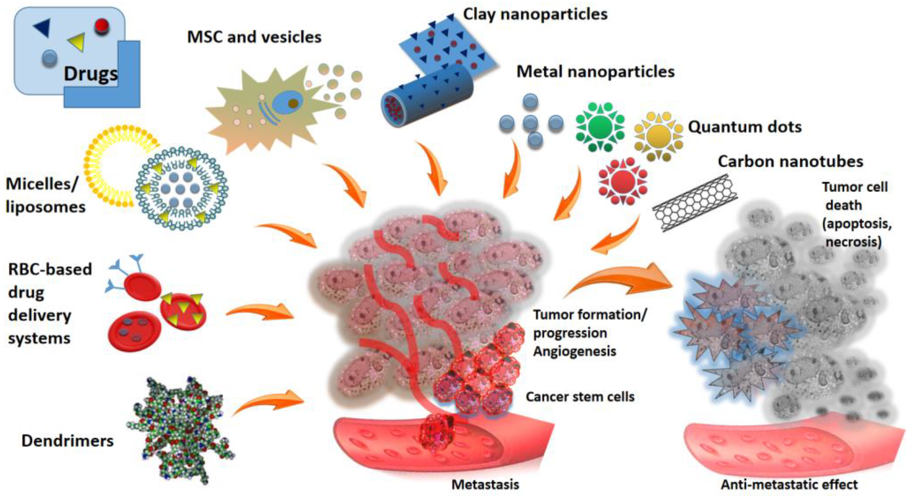 Scipharm 92 00028 g001 Scipharm 92 00028 g001