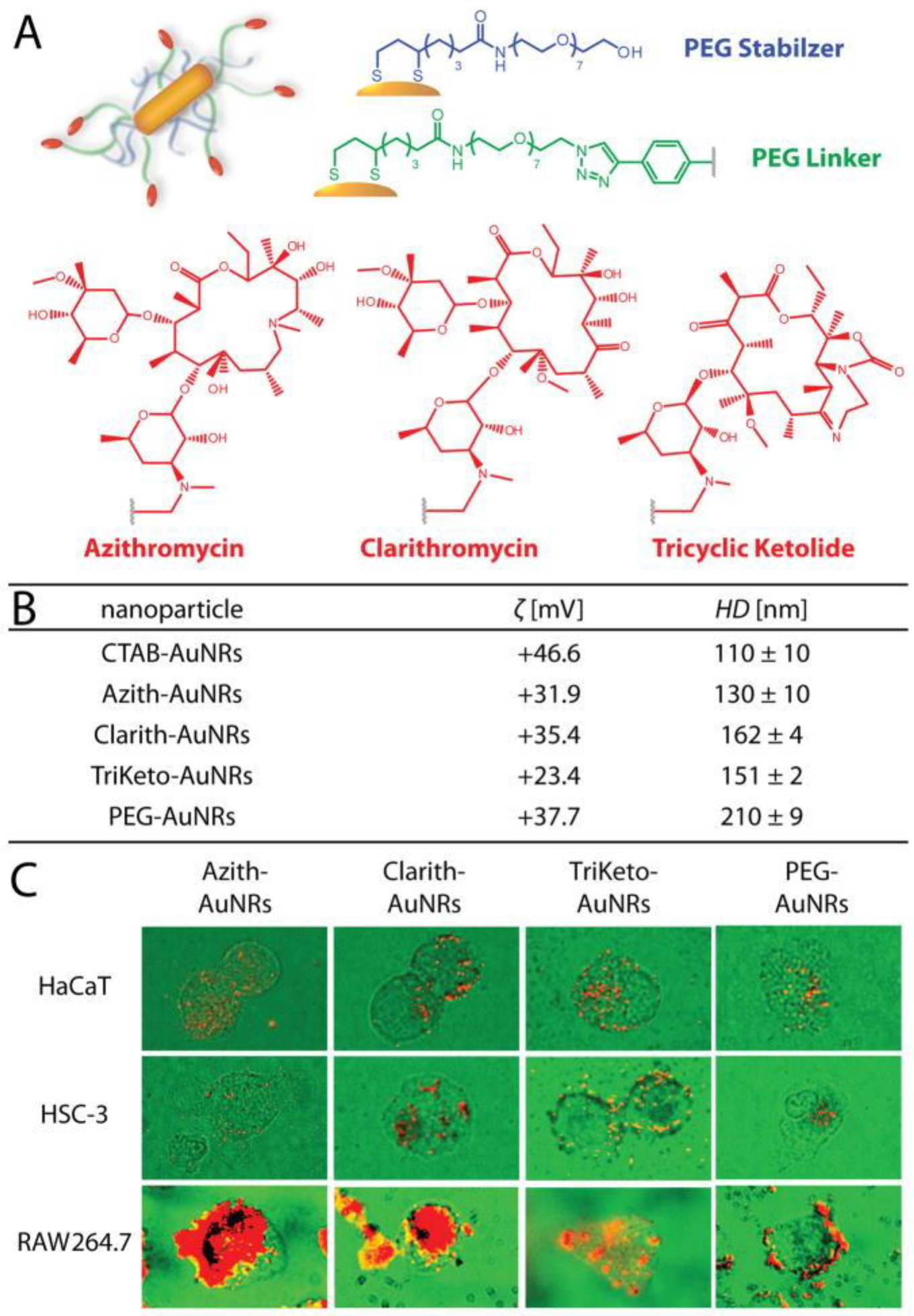 Scipharm 92 00028 g004 Scipharm 92 00028 g004