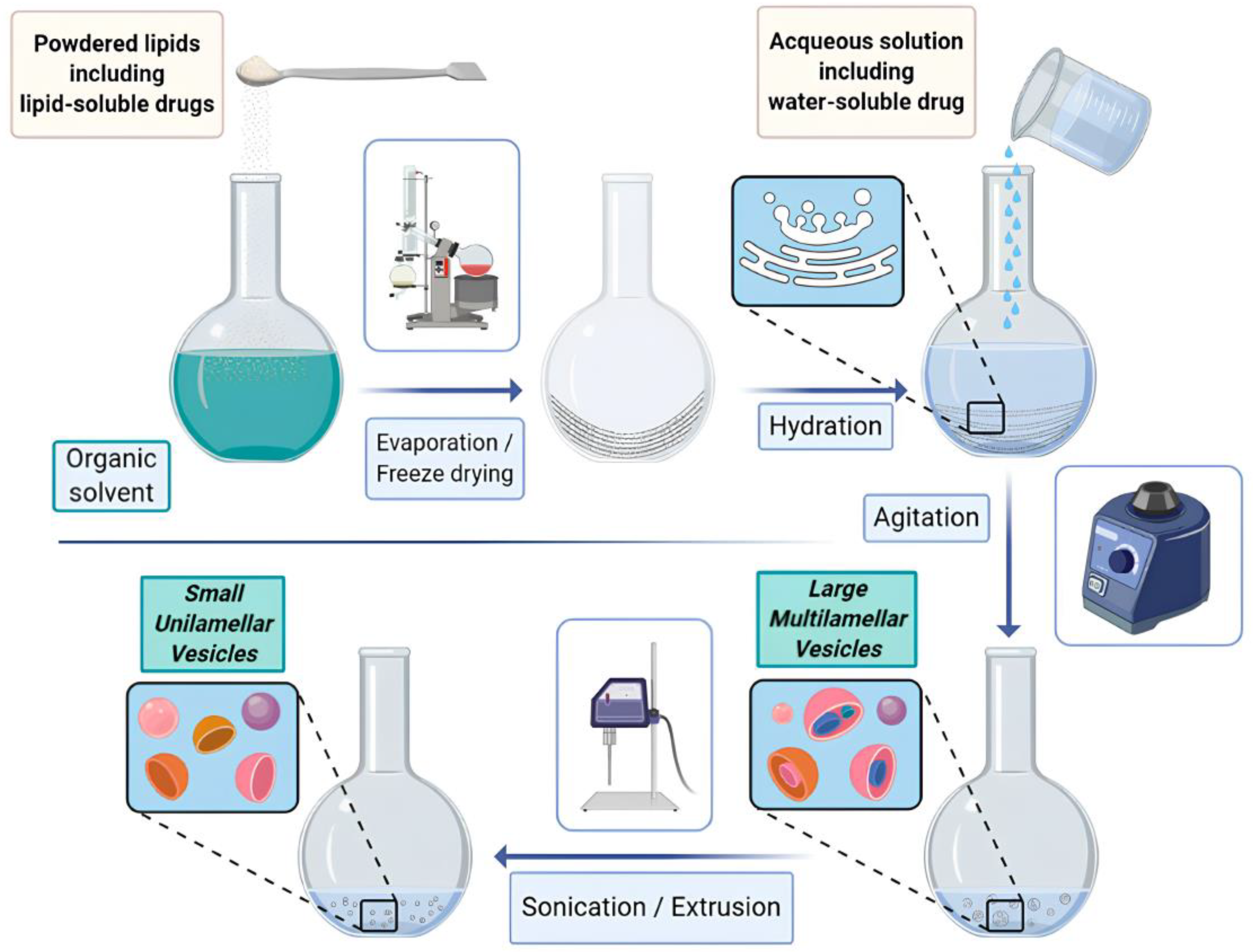 Scipharm 92 00028 g010 Scipharm 92 00028 g010