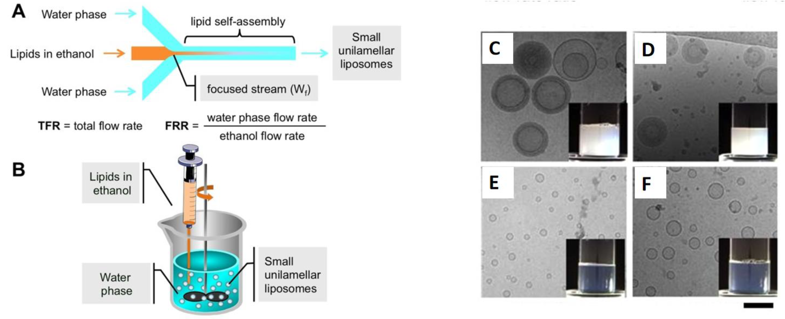 Scipharm 92 00028 g012 Scipharm 92 00028 g012