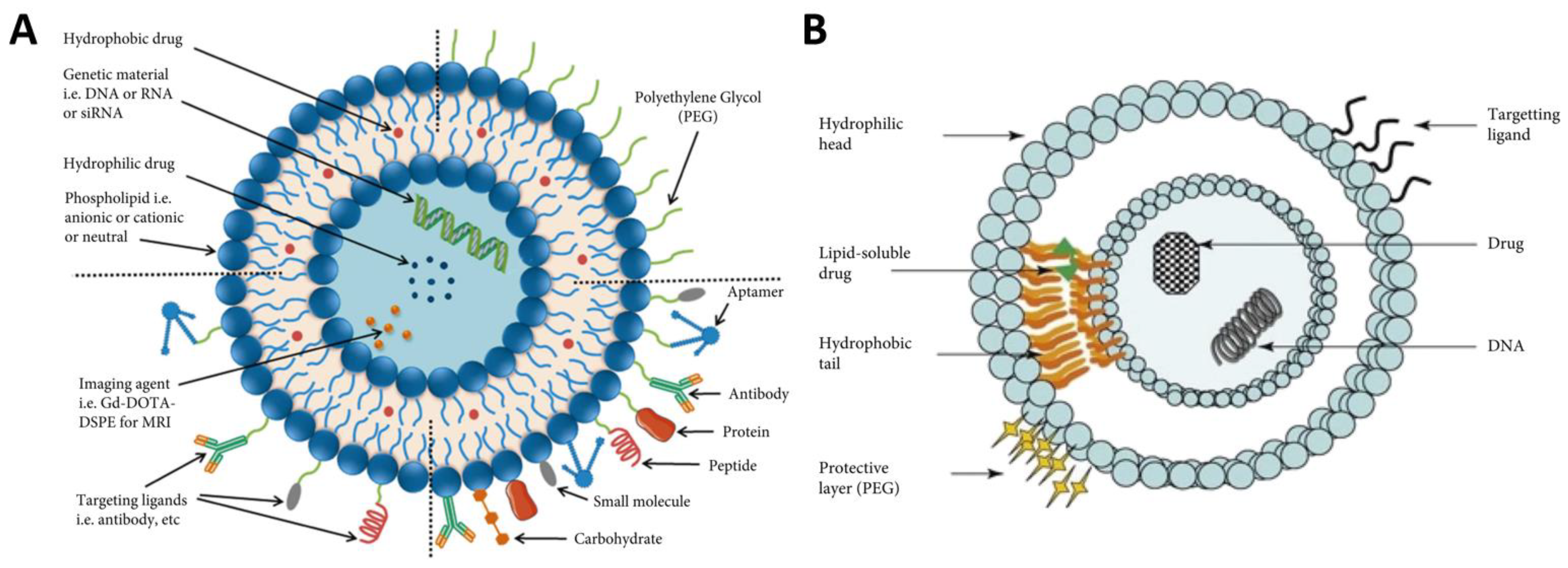 Scipharm 92 00028 g013 Scipharm 92 00028 g013