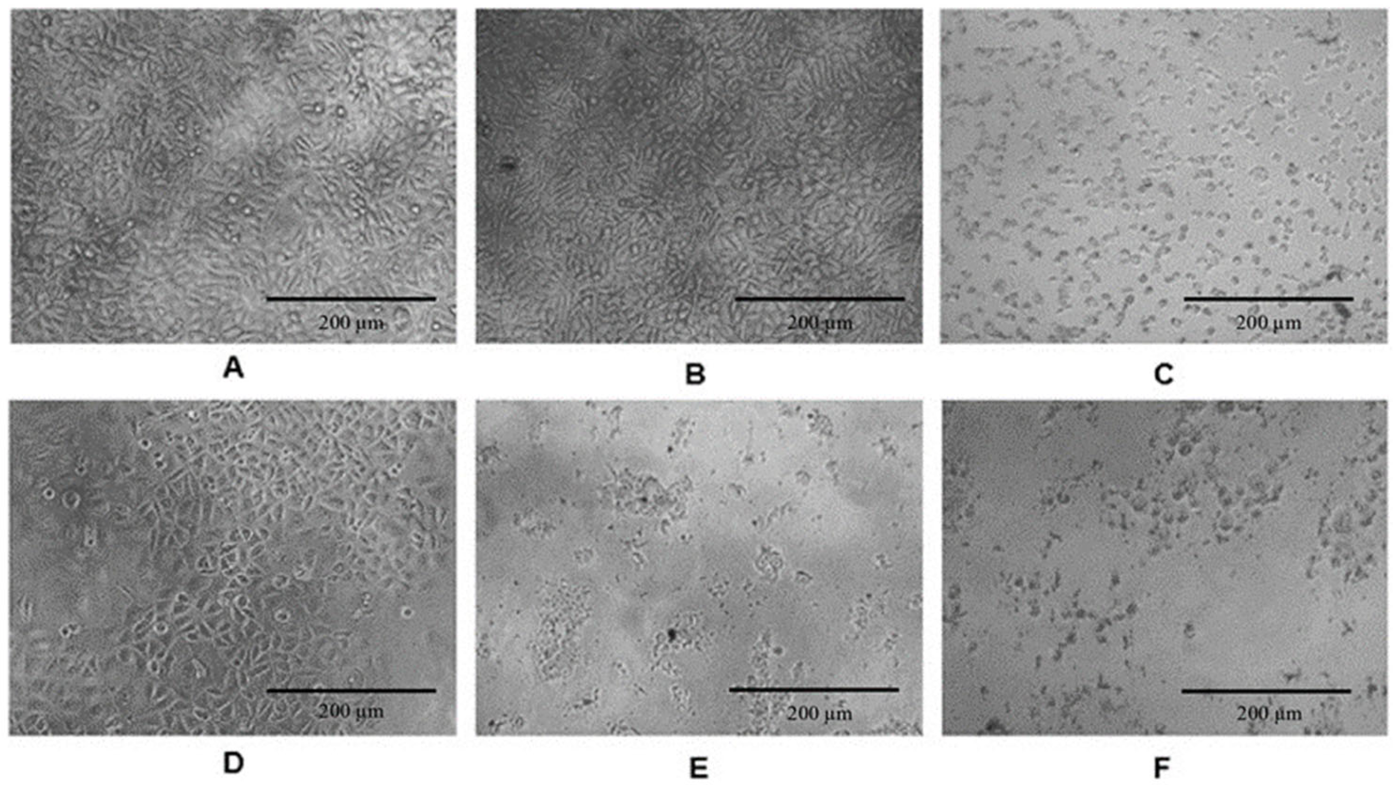 Scipharm 92 00041 g001