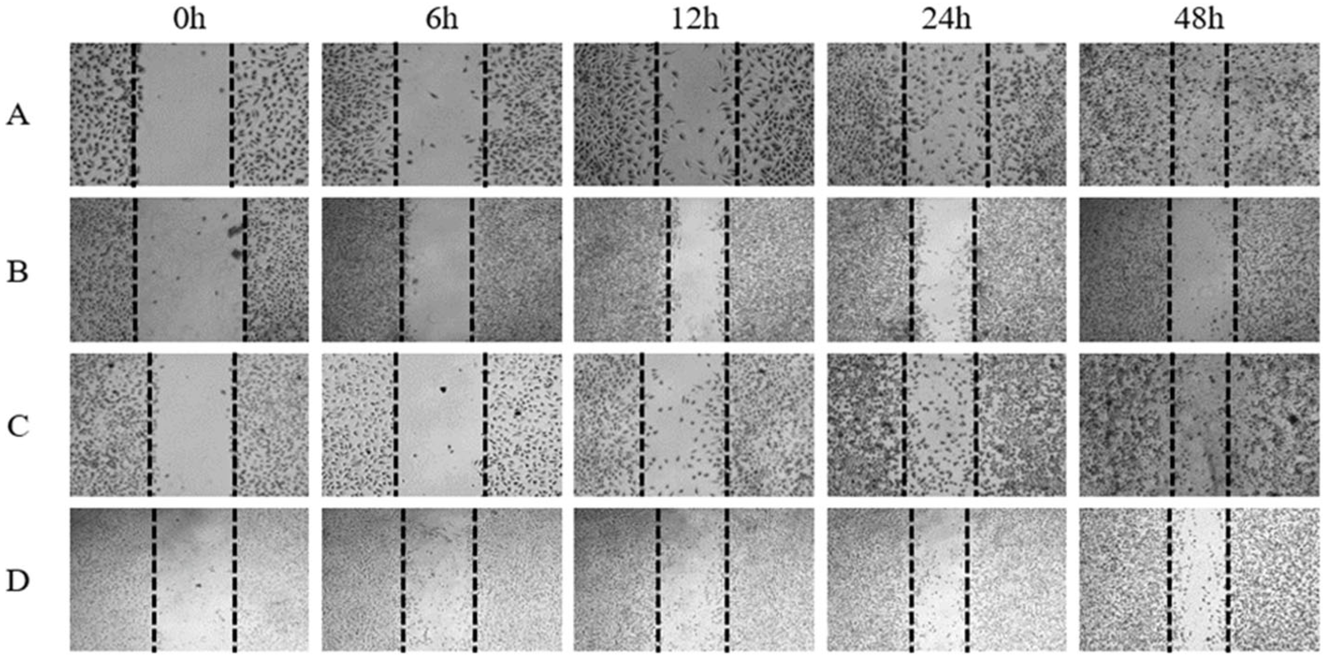 Scipharm 92 00041 g004