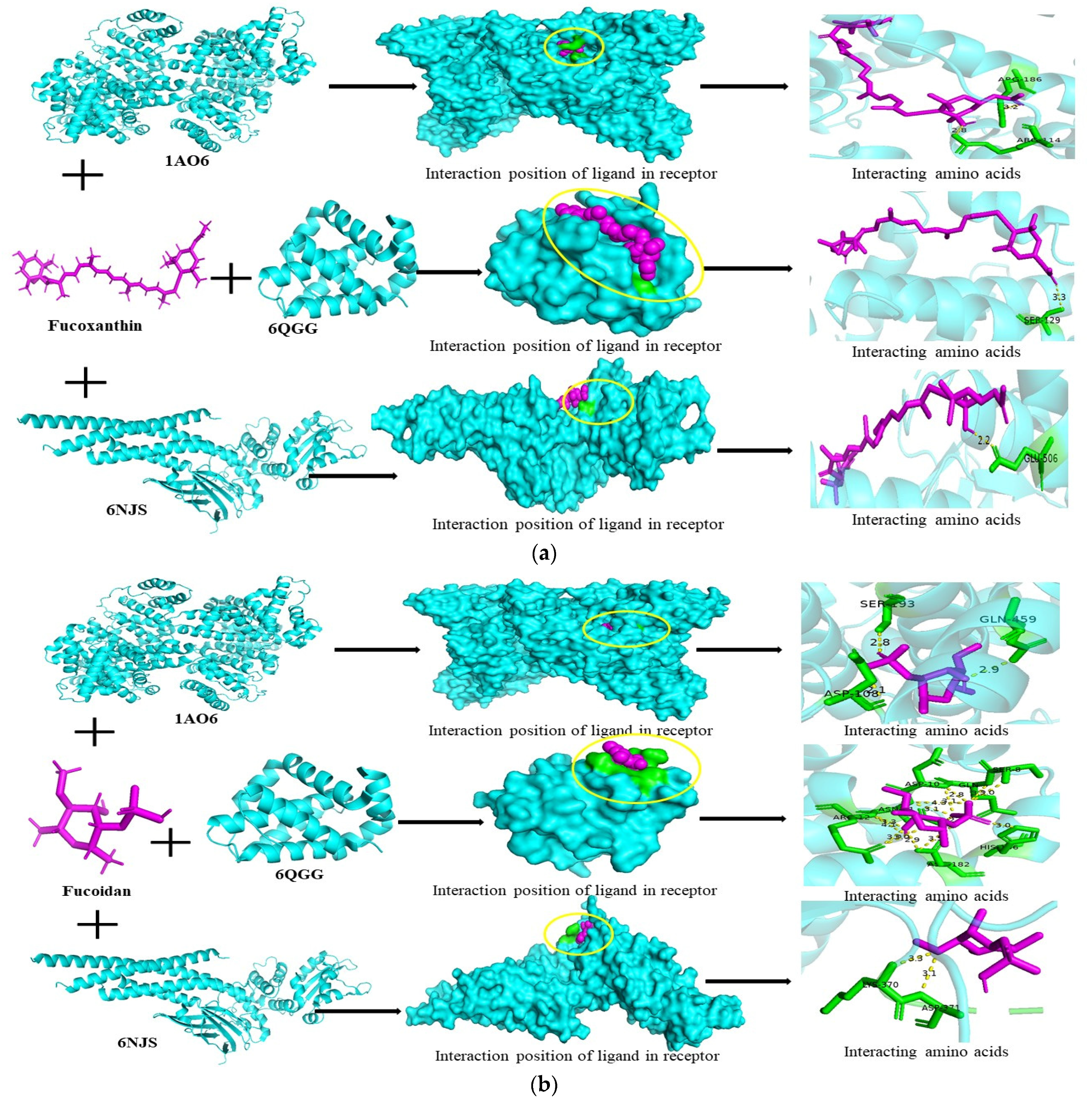 Scipharm 92 00049 g006a Scipharm 92 00049 g006a