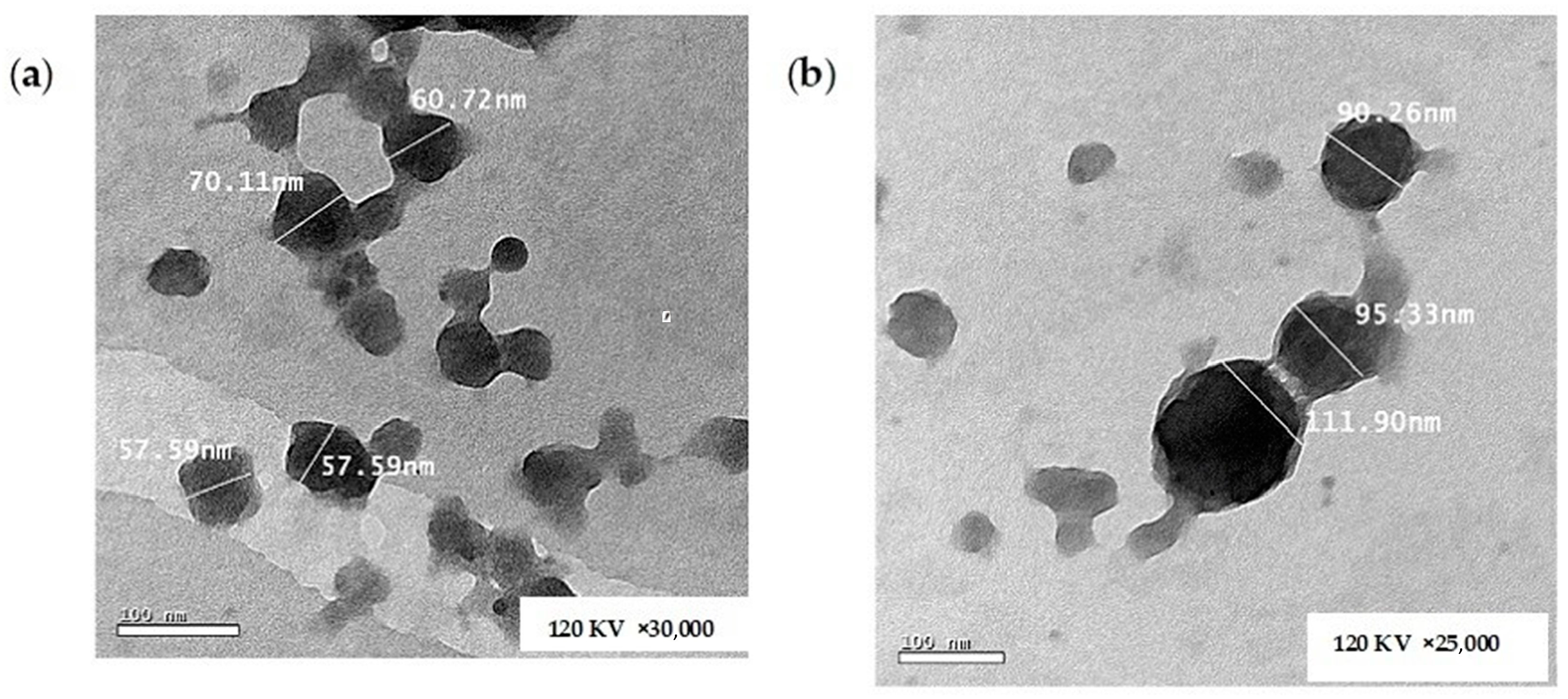 Scipharm 92 00050 g008 Scipharm 92 00050 g008