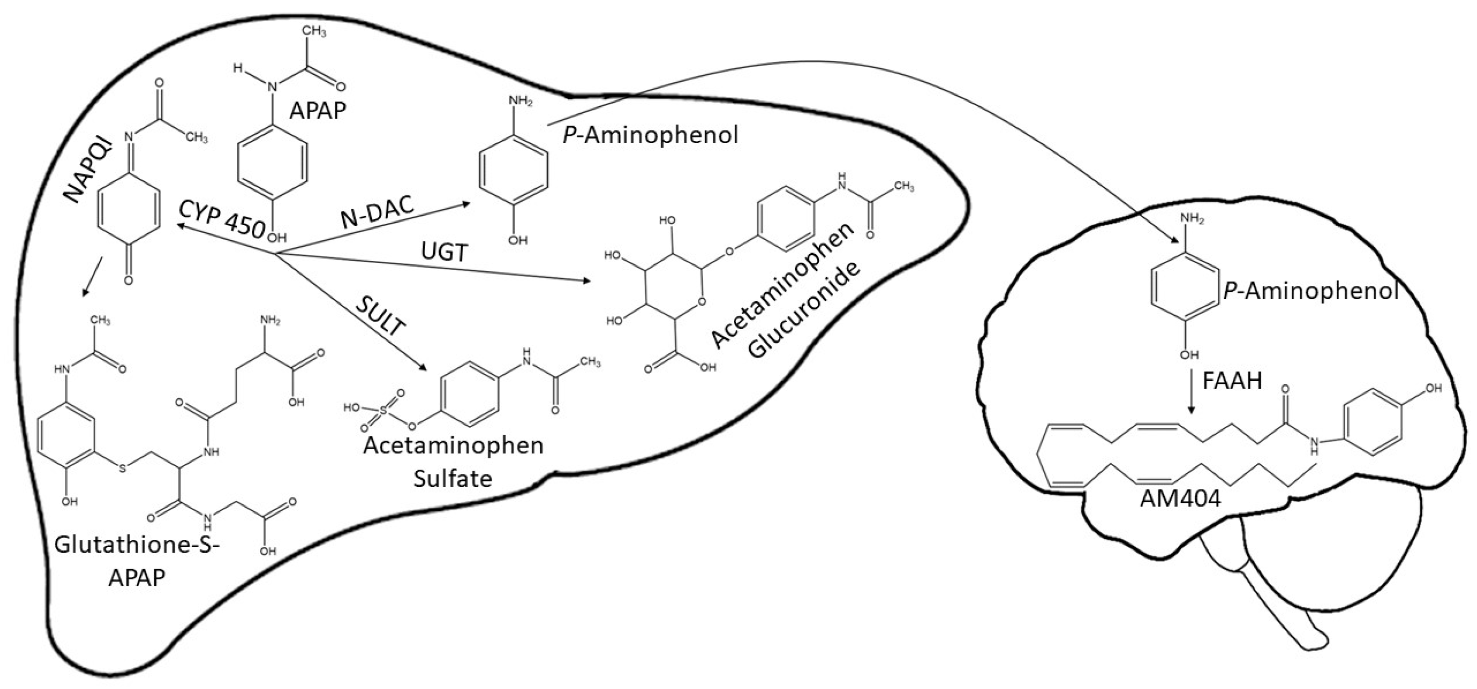 Scipharm 92 00055 g001