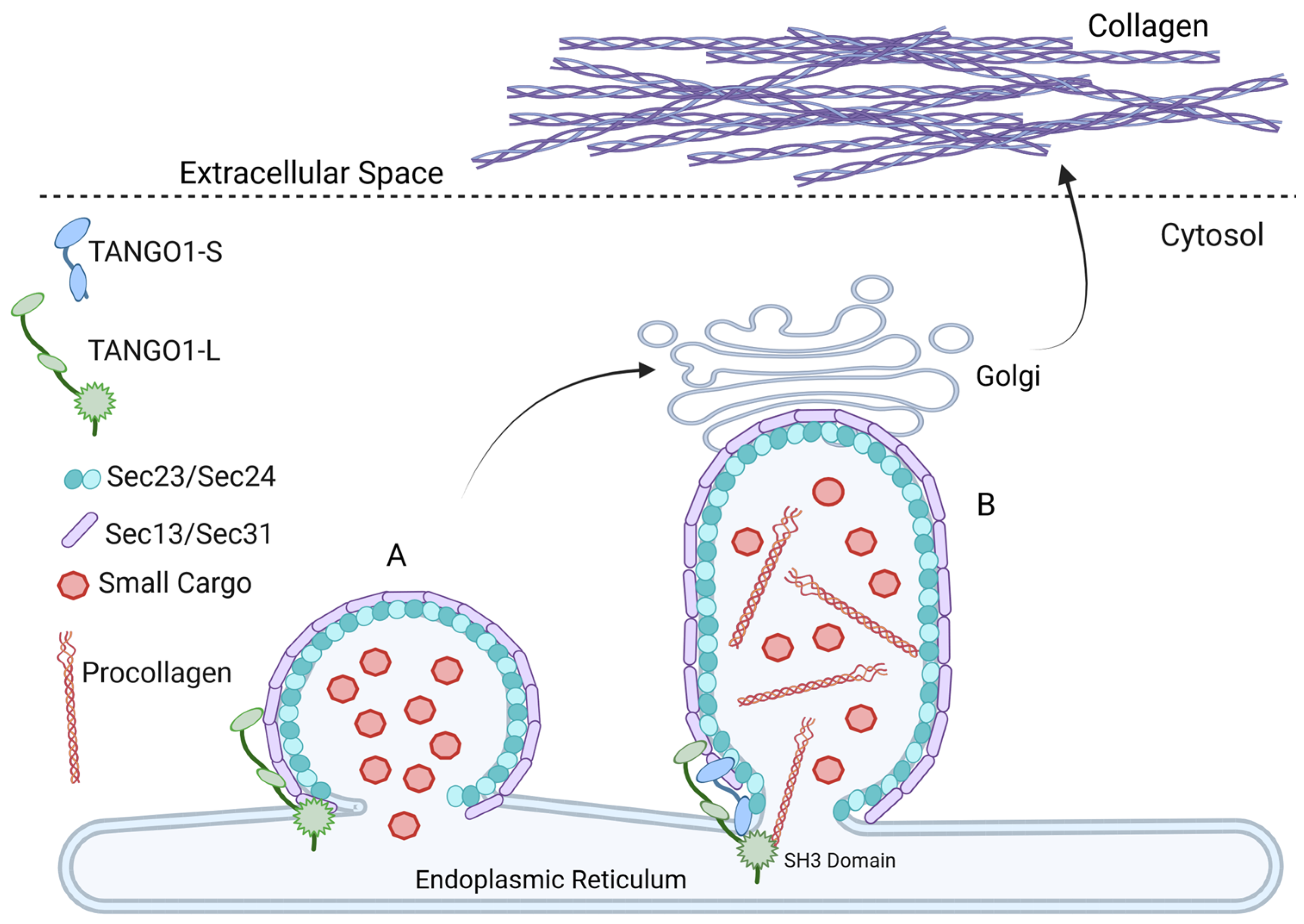 Sclerosis 02 00025 g002 Sclerosis 02 00025 g002