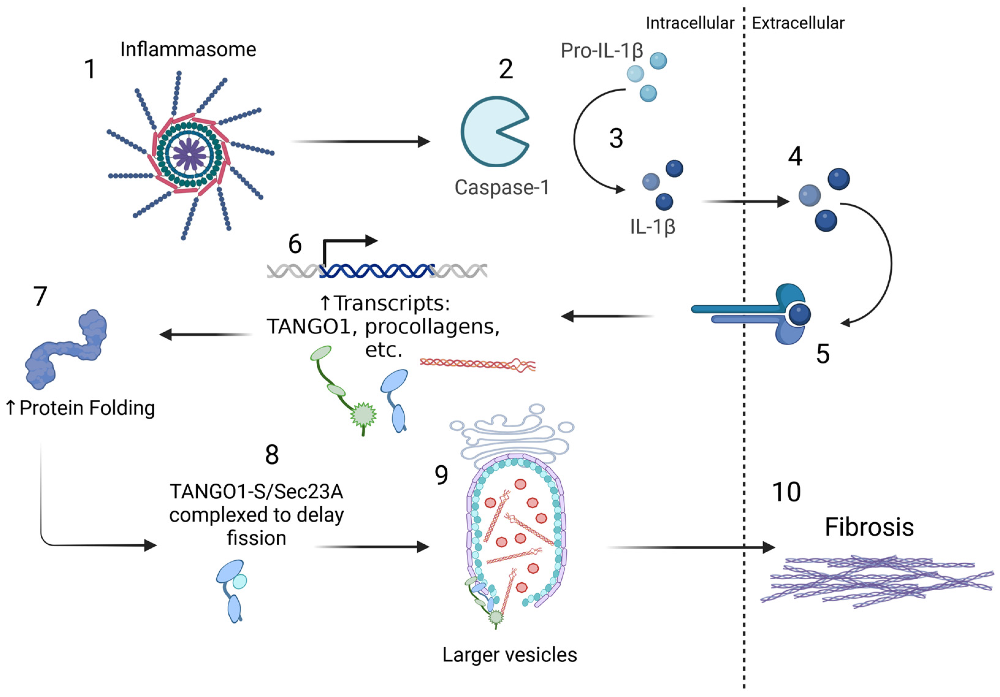 Sclerosis 02 00025 g003 Sclerosis 02 00025 g003
