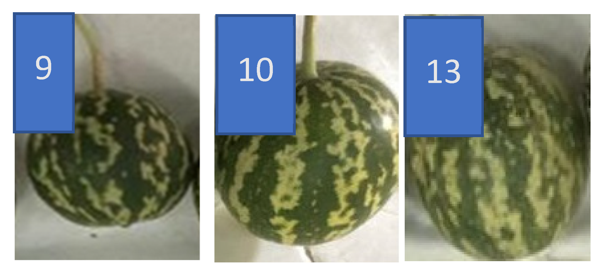 Seeds 01 00021 g006 Seeds 01 00021 g006