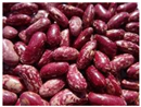 Seeds 01 00027 i004