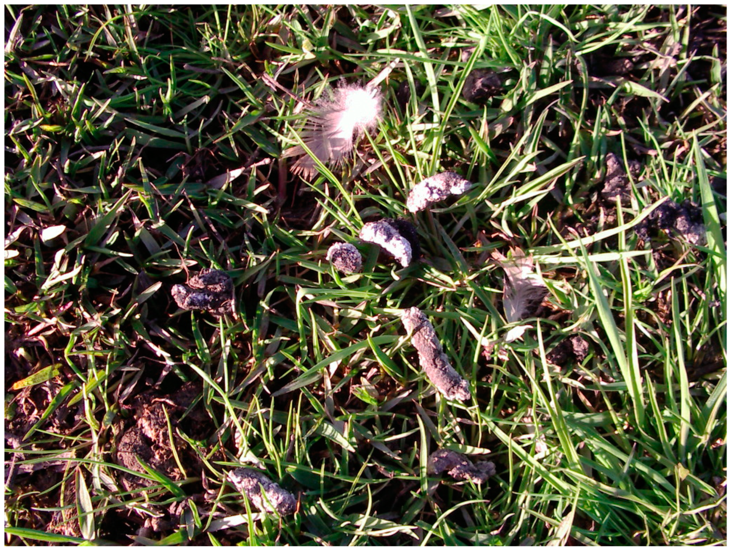 Seeds 03 00034 g001 Seeds 03 00034 g001