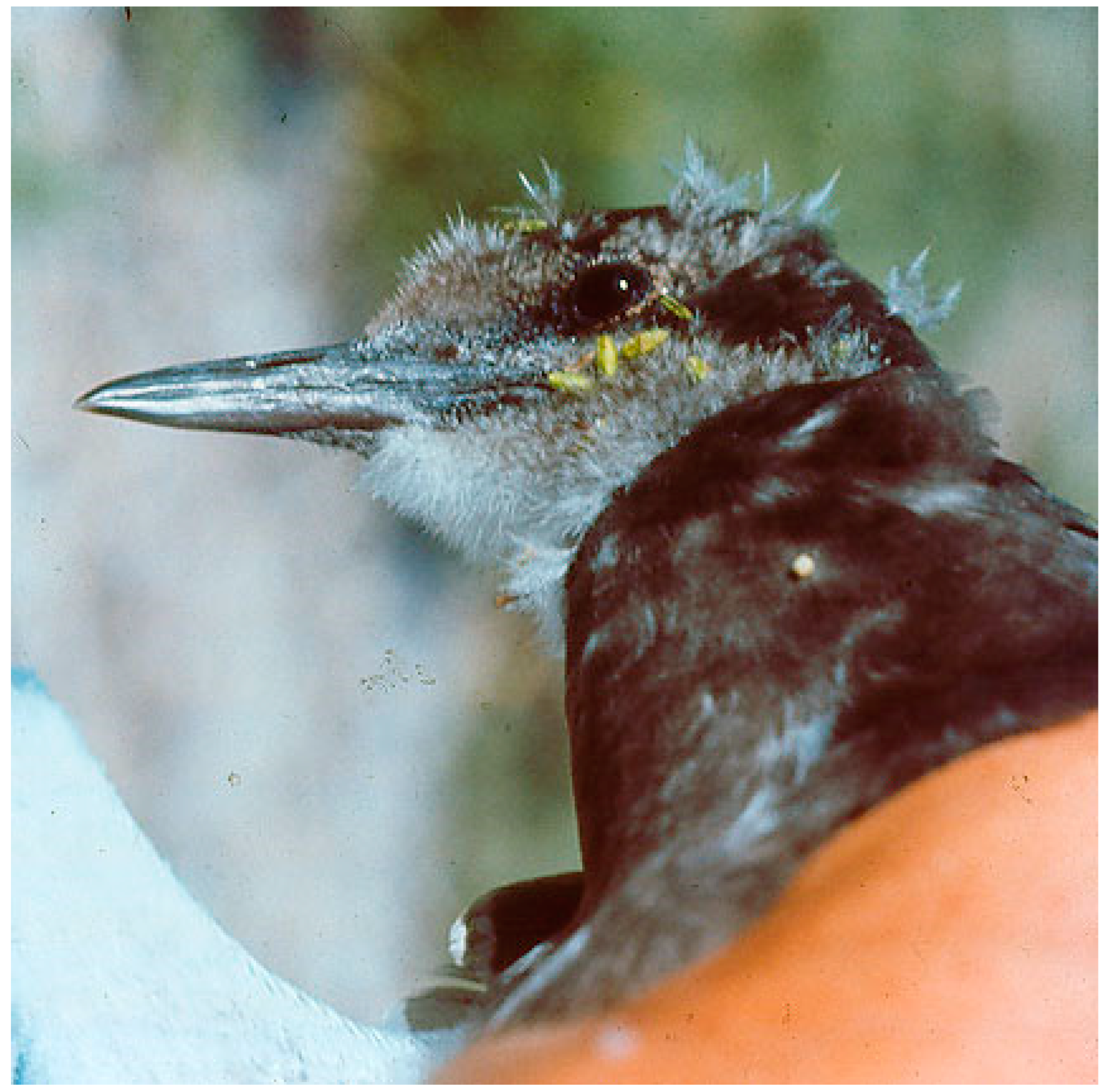 Seeds 03 00034 g004 Seeds 03 00034 g004