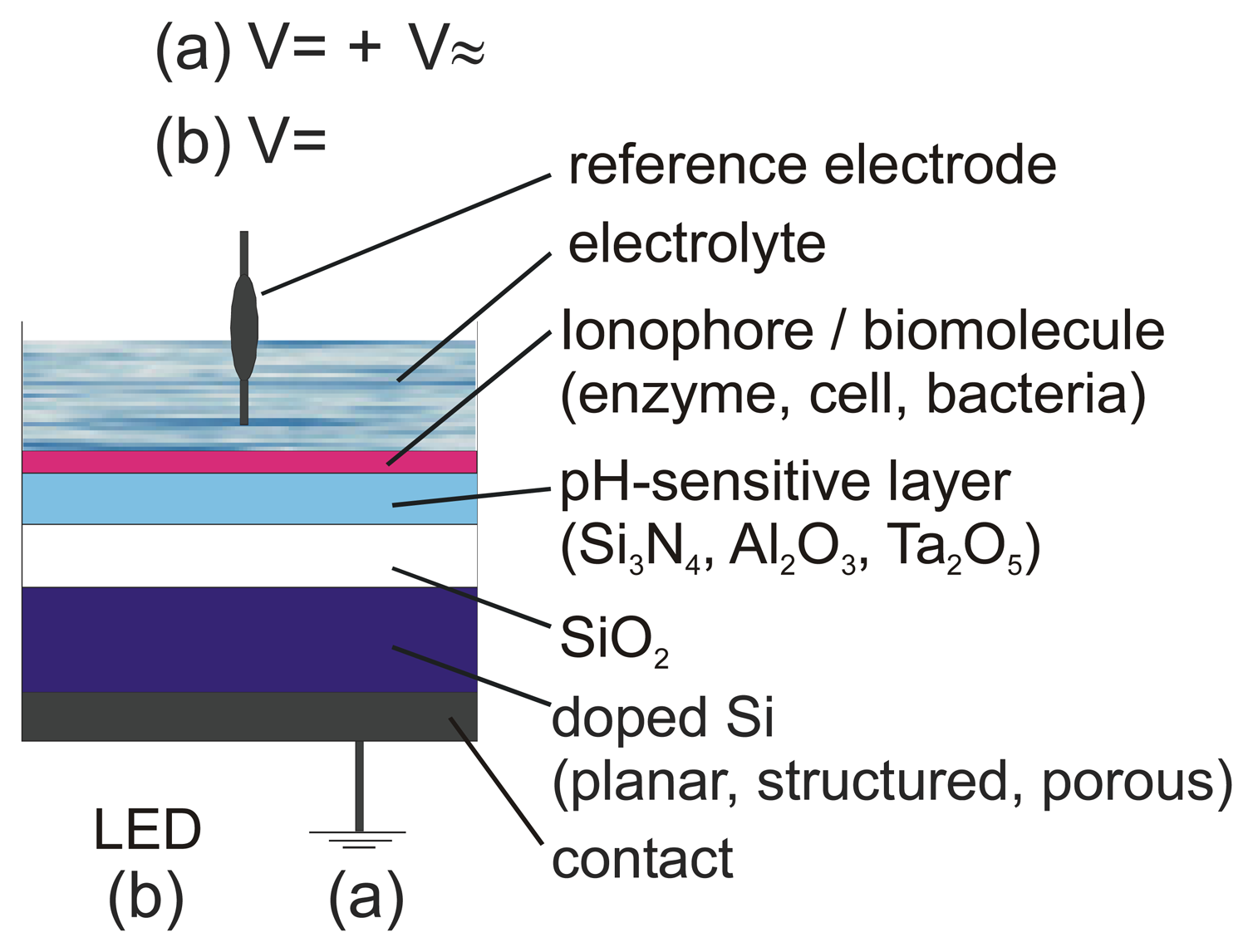 Sensors 05 00126f3