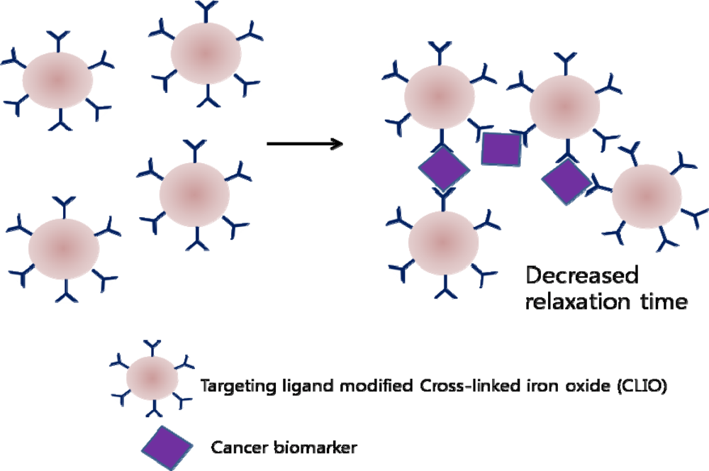 Nanotechnology and Early Cancer Detection and Diagnosis - NCI