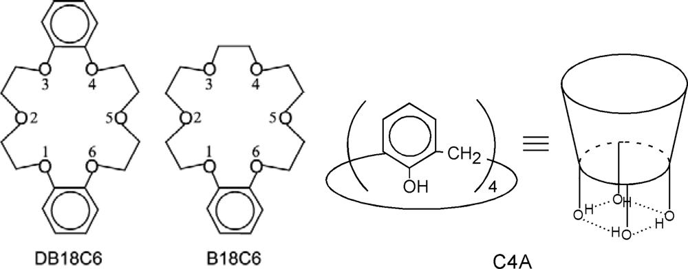 Hydronium Ion Complex of 18-Crown-6: Where Are the Protons? A Density  Functional Study of Static and Dynamic Properties